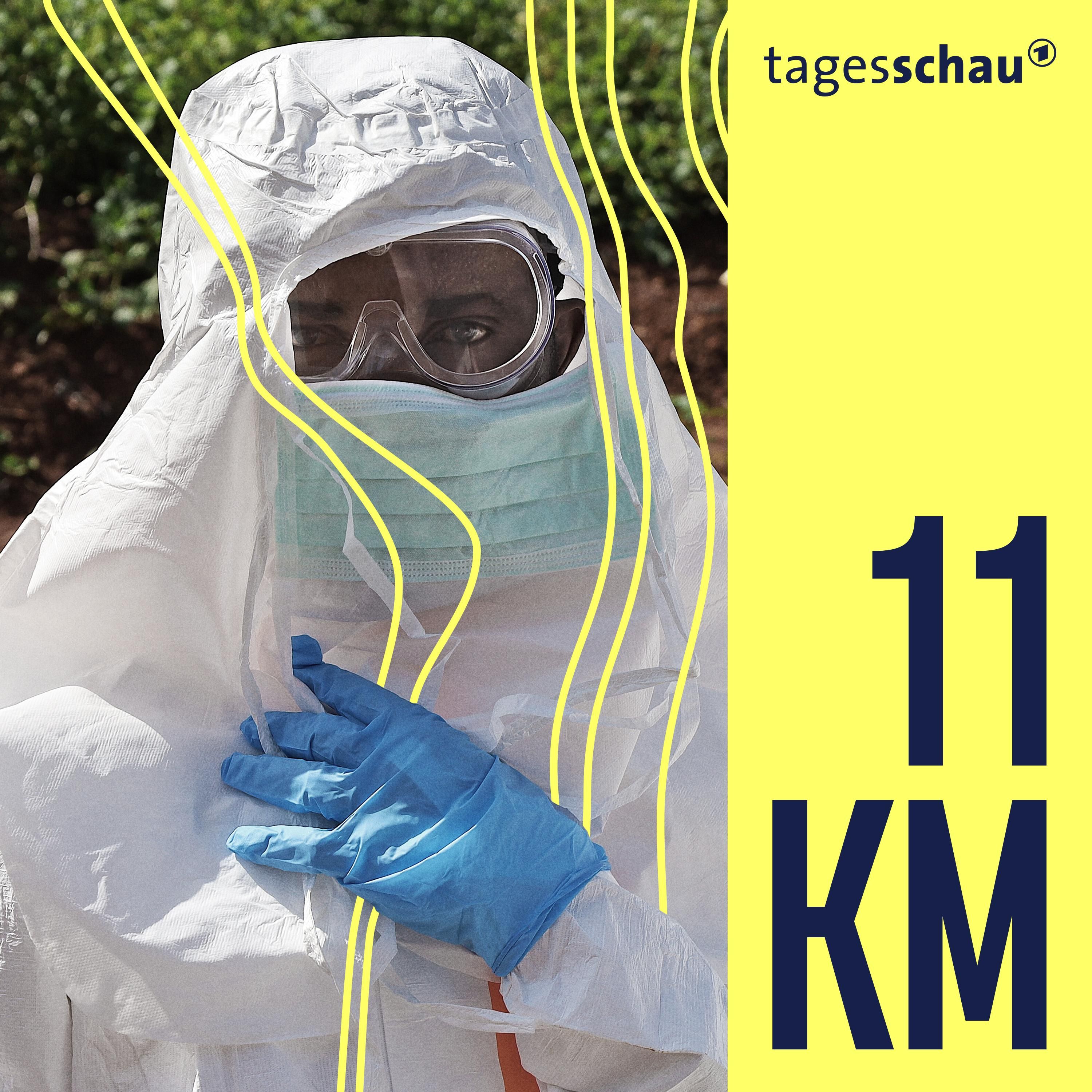 Kampf gegen Ebola: Wie gefährlich ist der Virus-Ausbruch?