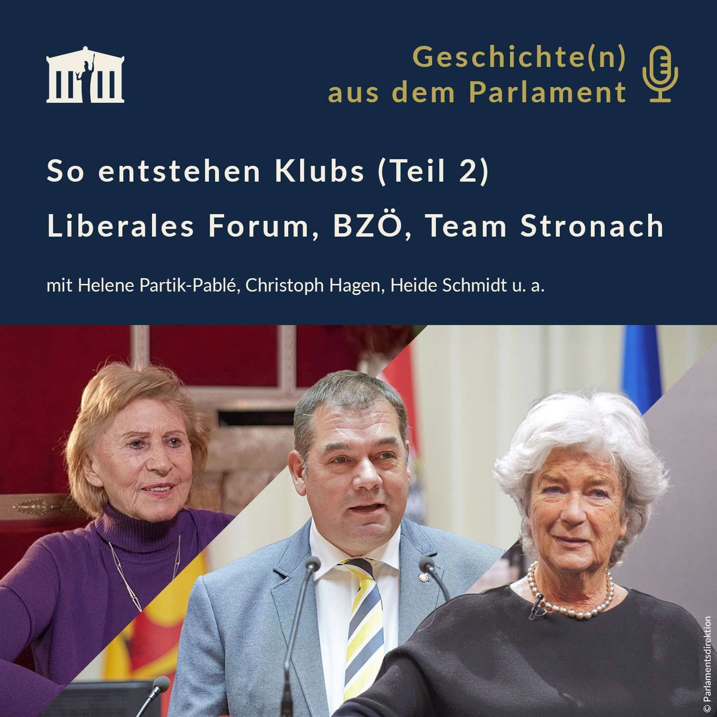 So entstehen Klubs (Teil 2): Liberales Forum, BZÖ, Team Stronach