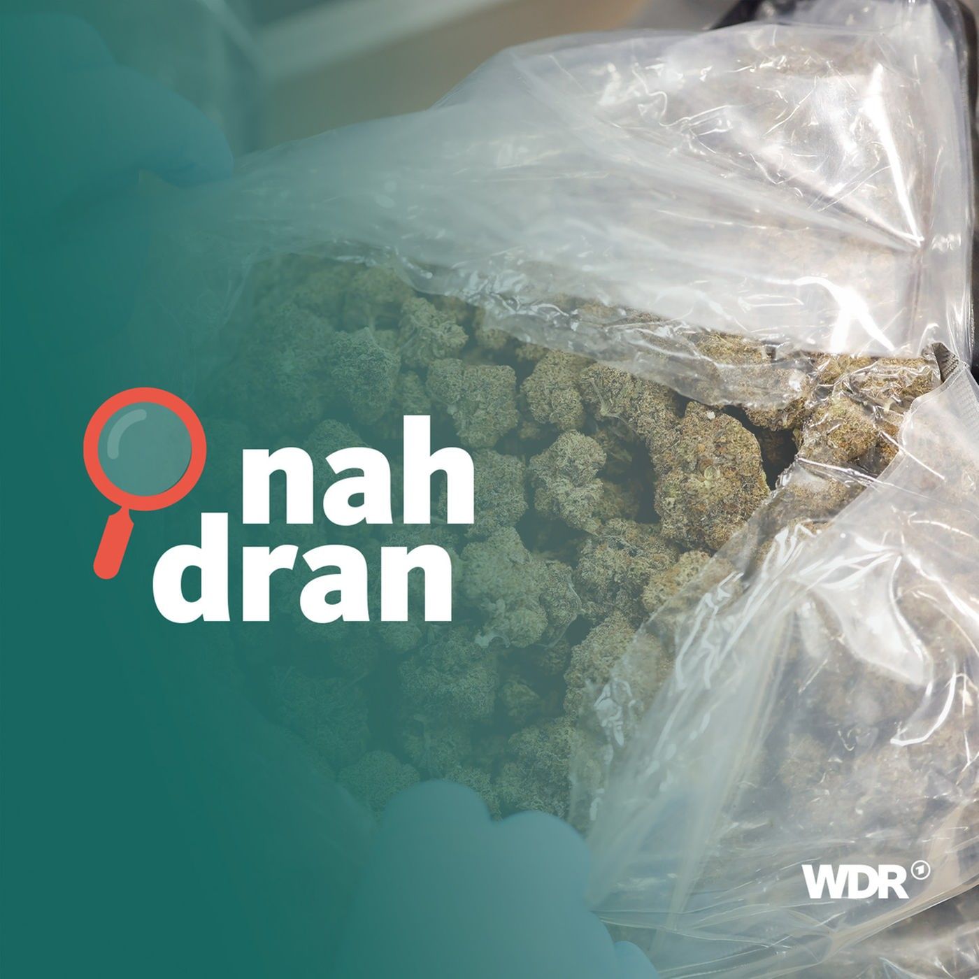 "Rich Kids"-Prozess in Düsseldorf: Drogenbosse aus gutem Hause? I nah dran