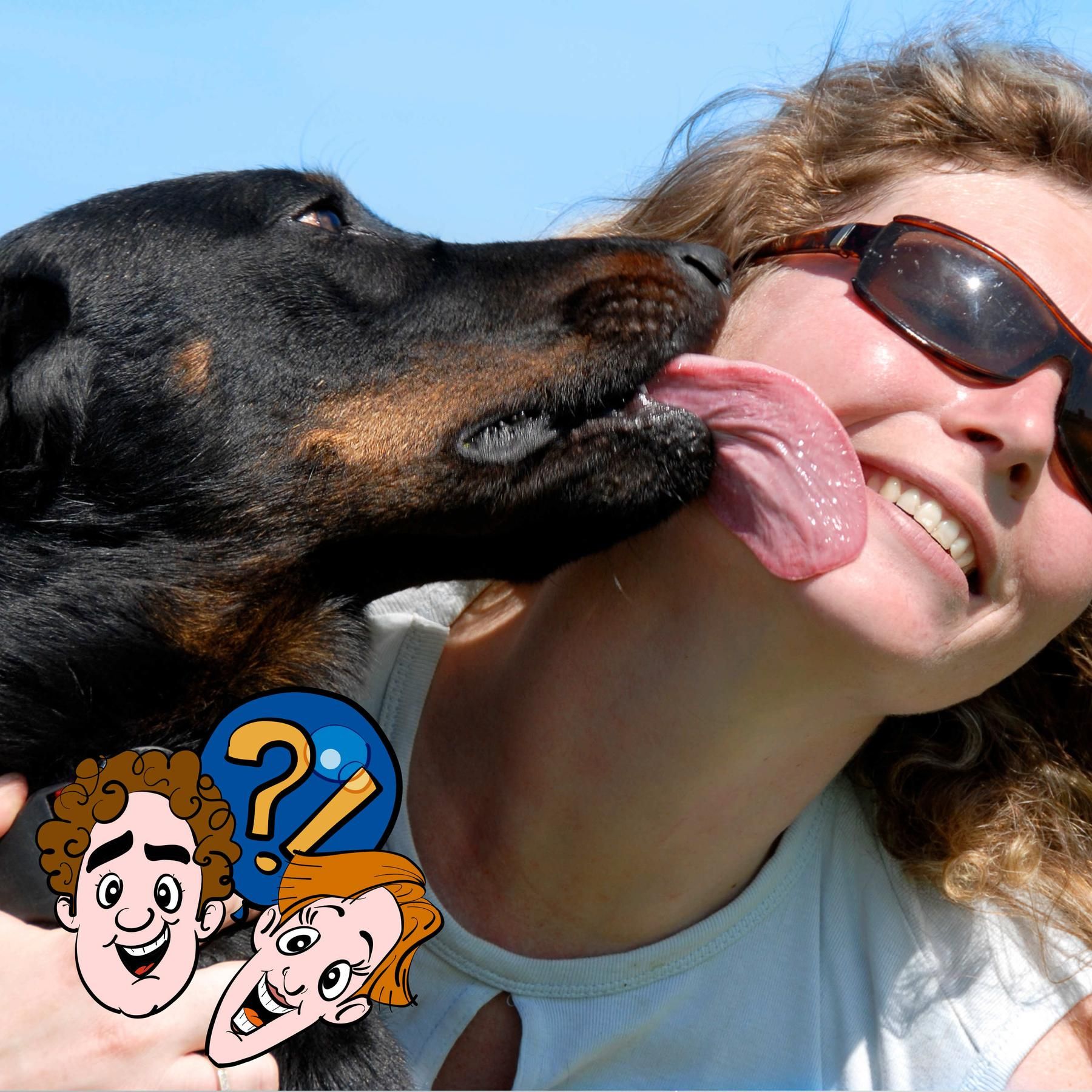 Schlecken Hunde uns ab, weil sie wissen, dass unter der Haut Knochen sind?
