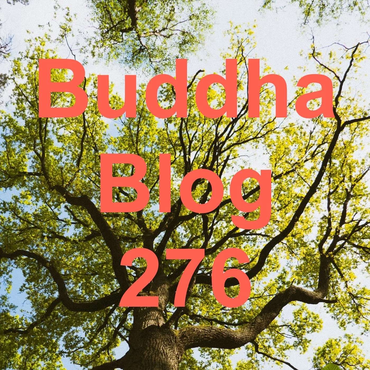 276-Zukunft-Buddha Blog-Buddhismus im Alltag