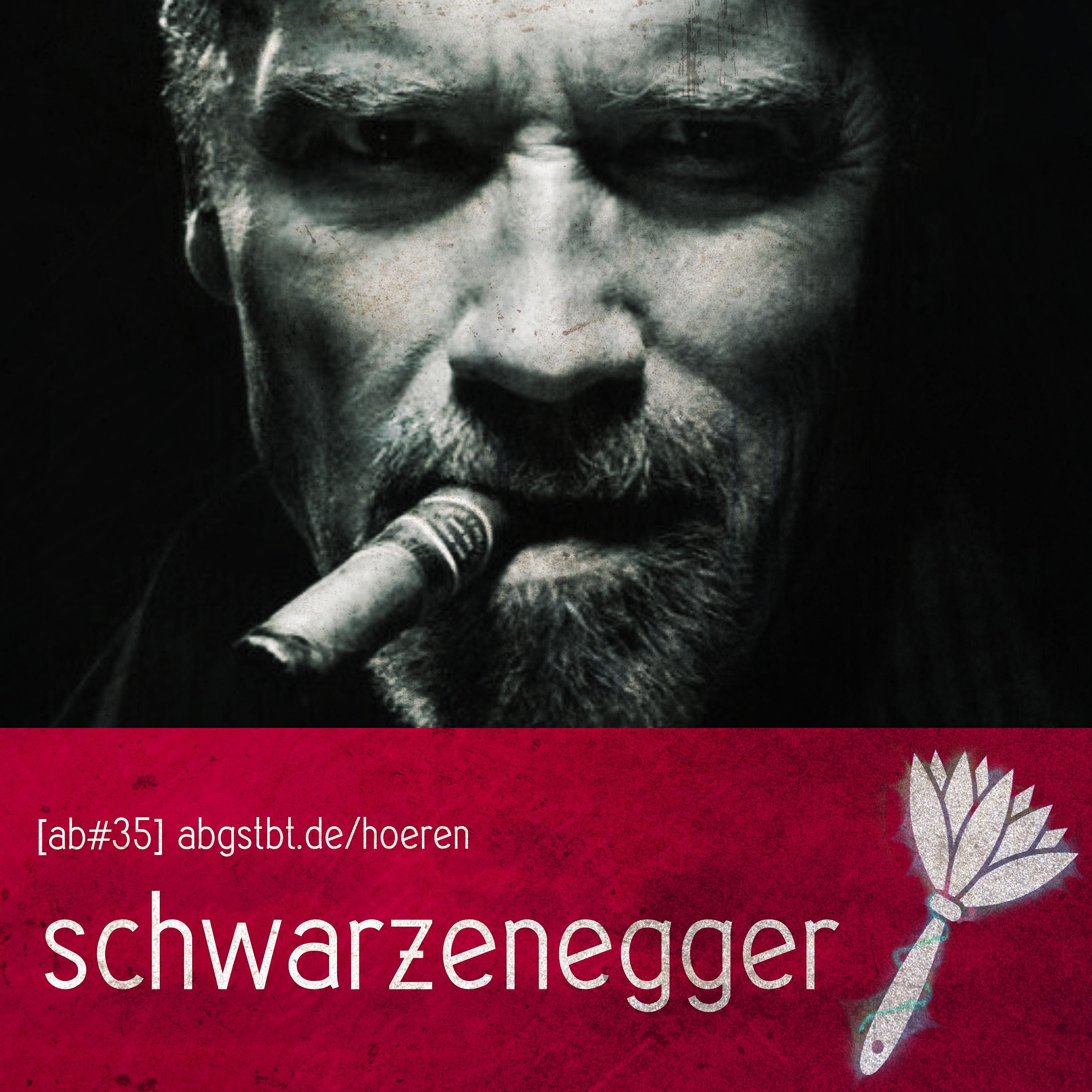ab35 | abgestaubt: Schwarzenegger