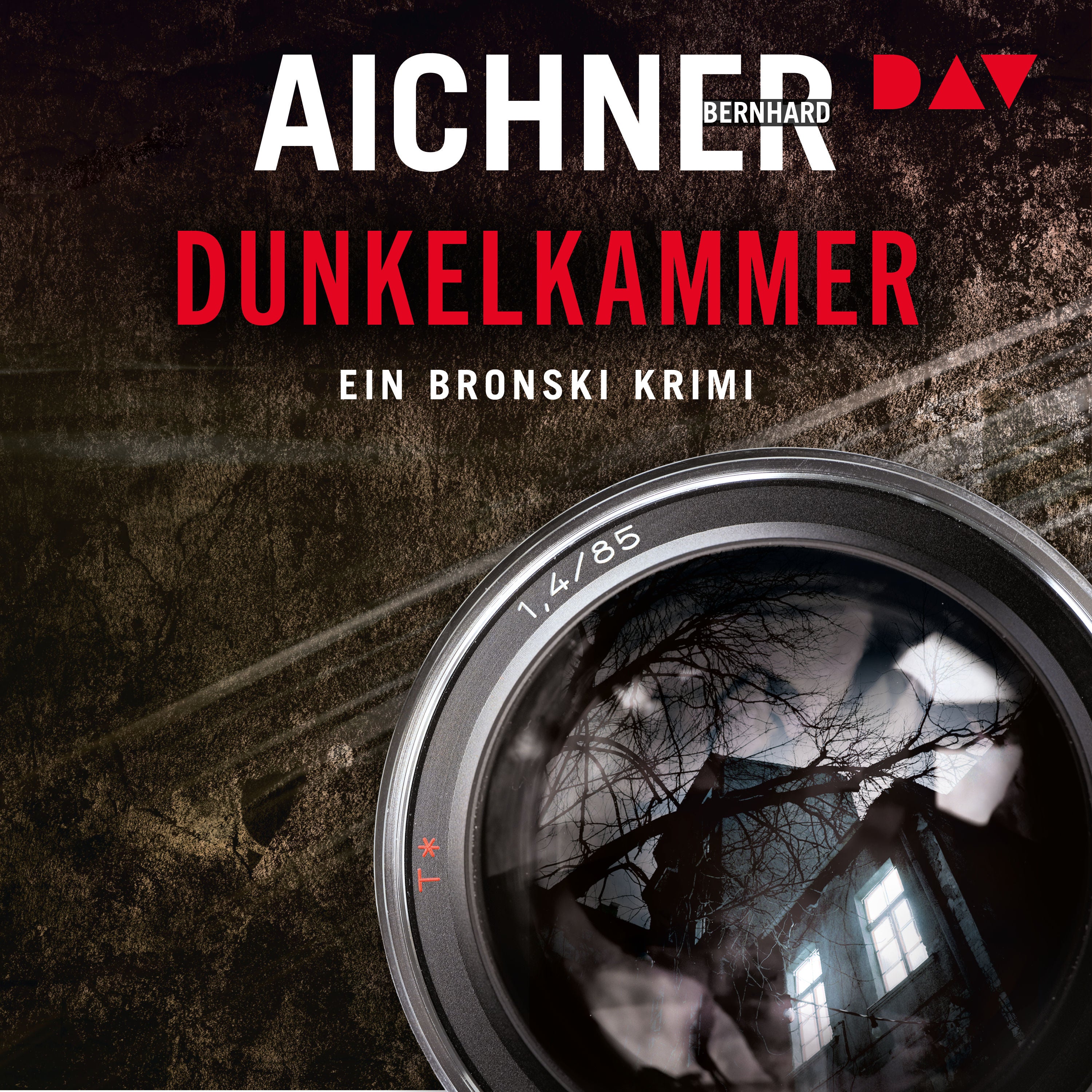 Dunkelkammer. Ein Bronski Krimi (1)