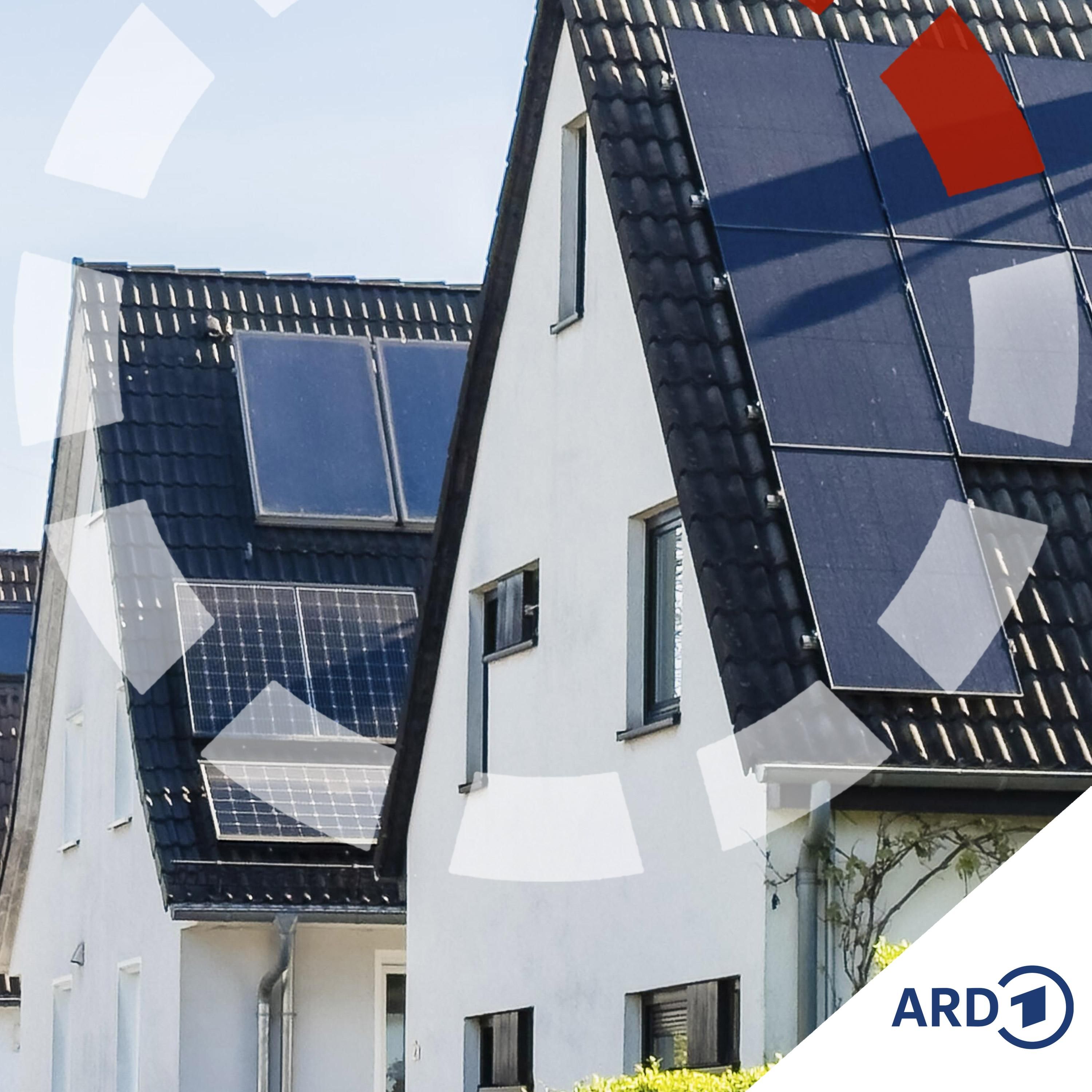 Energy Sharing startet - so teile ich Solarstrom mit den Nachbarn!