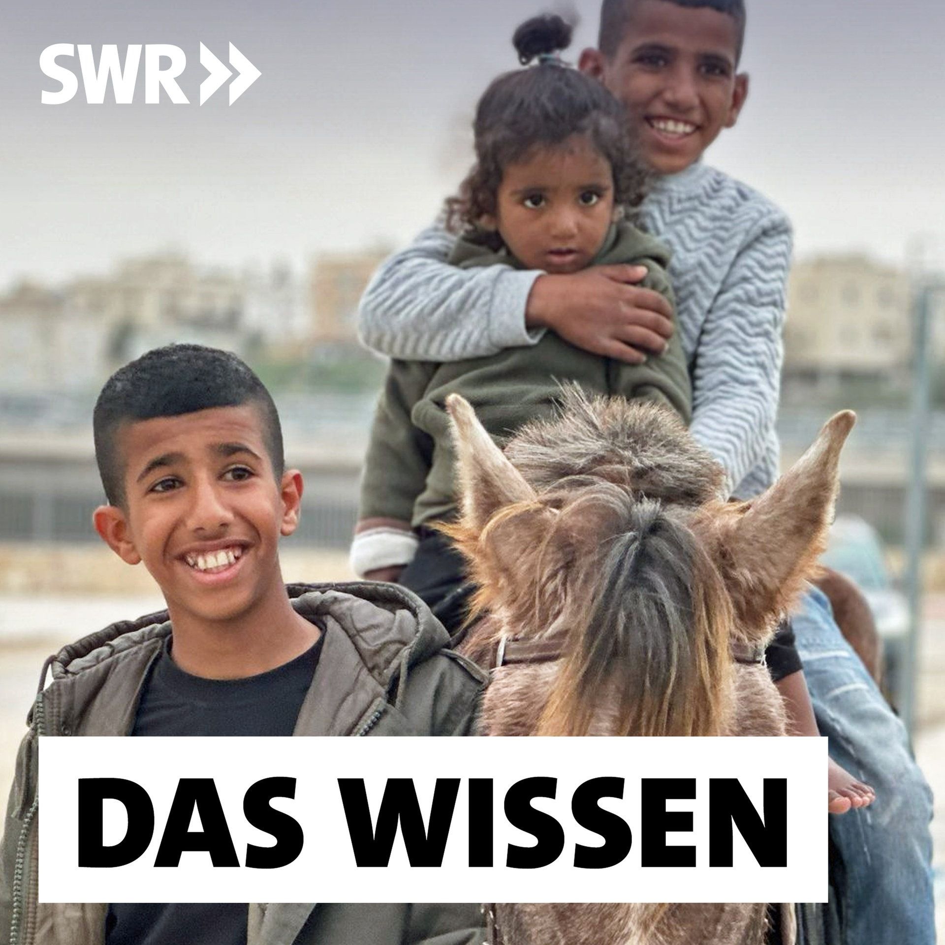 Junge Beduinen in Israel – Ringen um Anerkennung