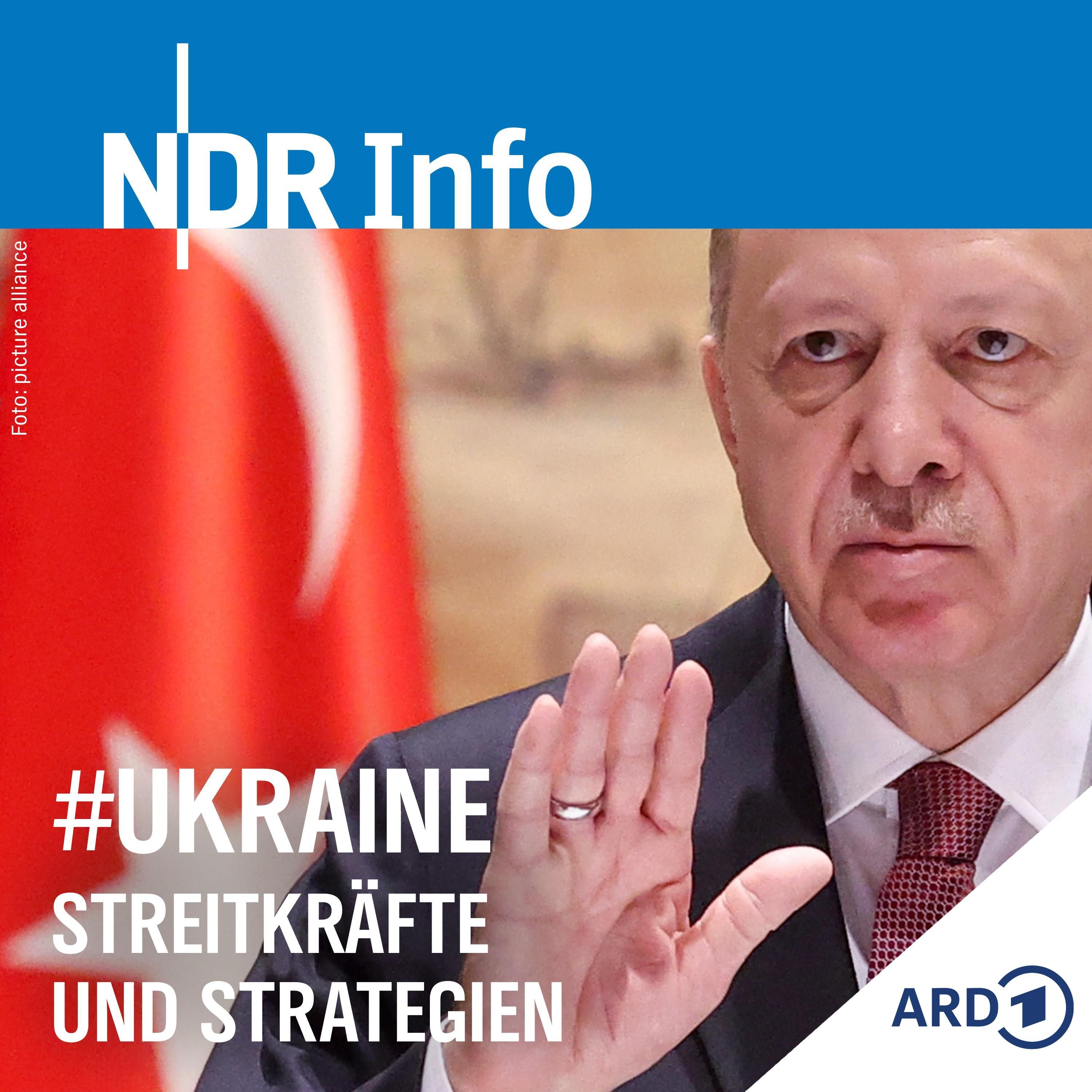 Erdogan der Vermittler (Tag 34)