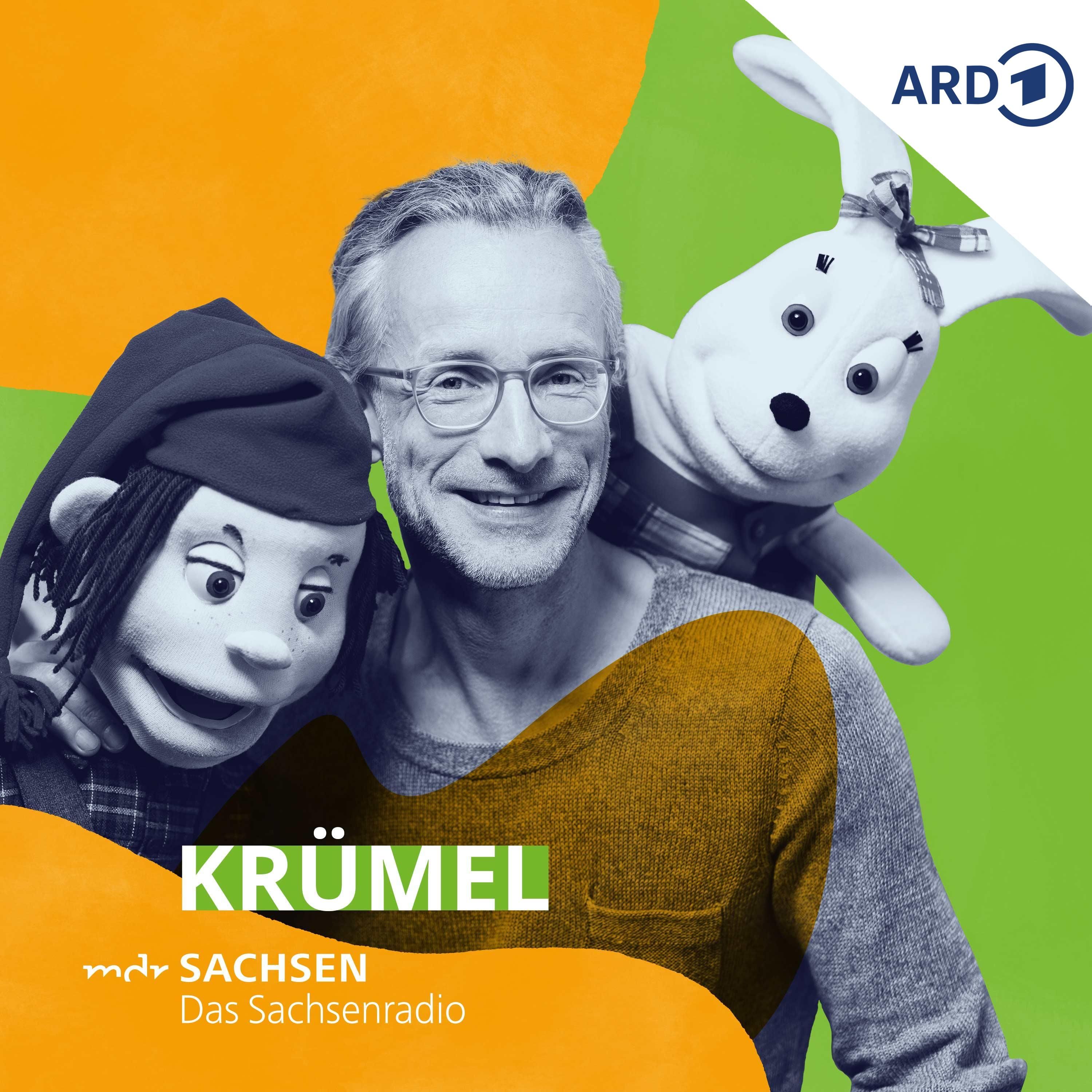 Baumhaus oder Streithaus?!