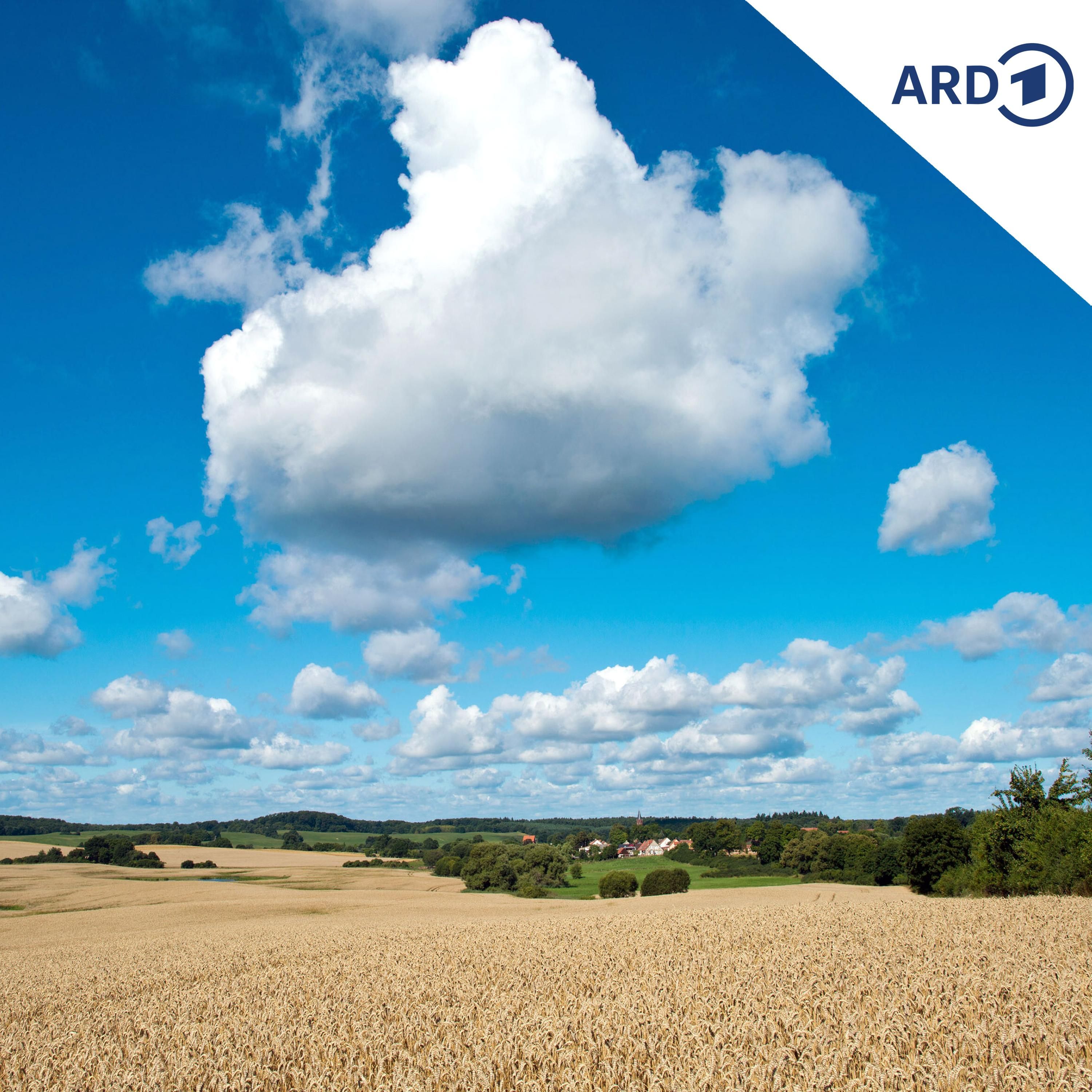 Warum gibt es Schäfchenwolken, aber keine Hasenwolken?