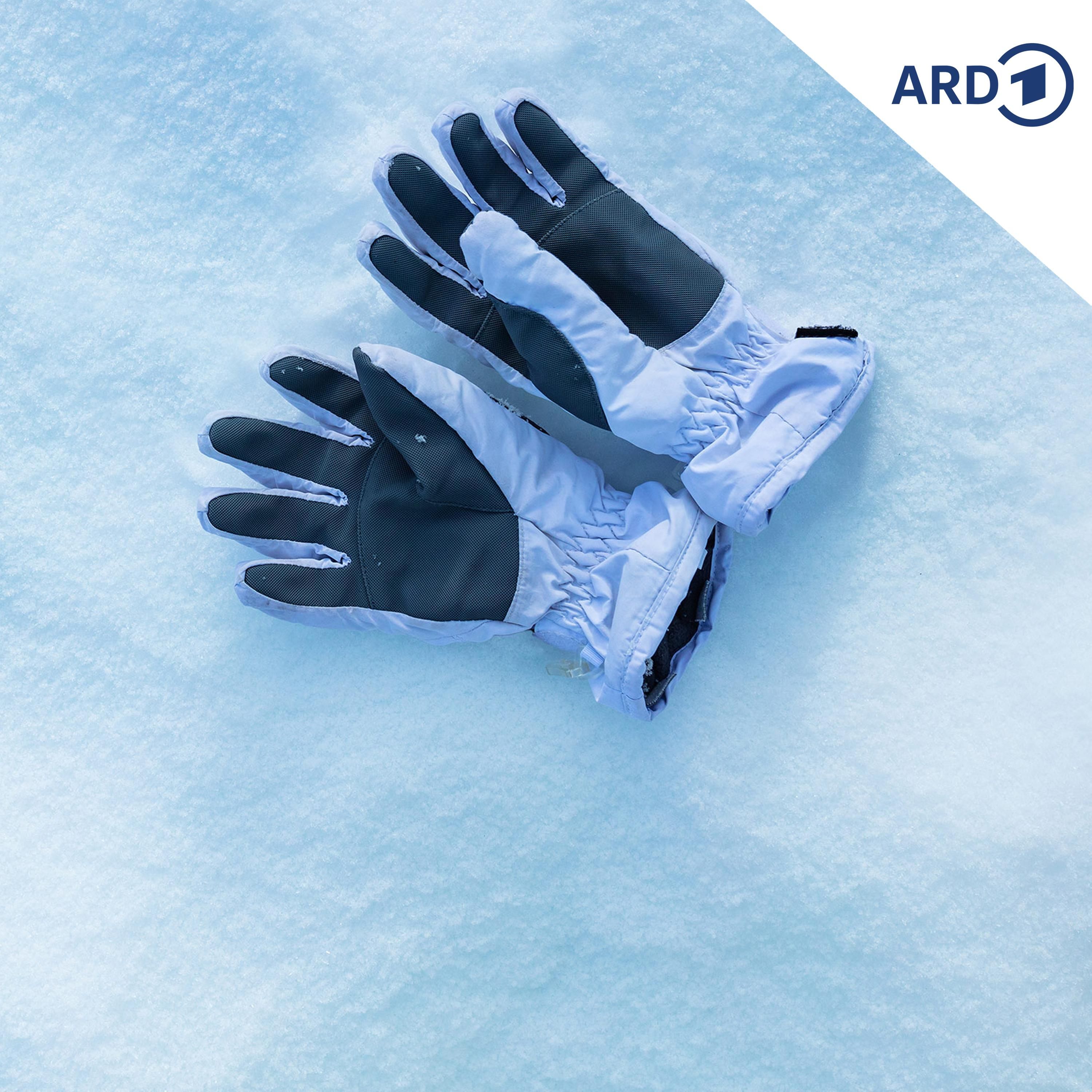 Die verlorenen Handschuhe - eine Lügengeschichte?!
