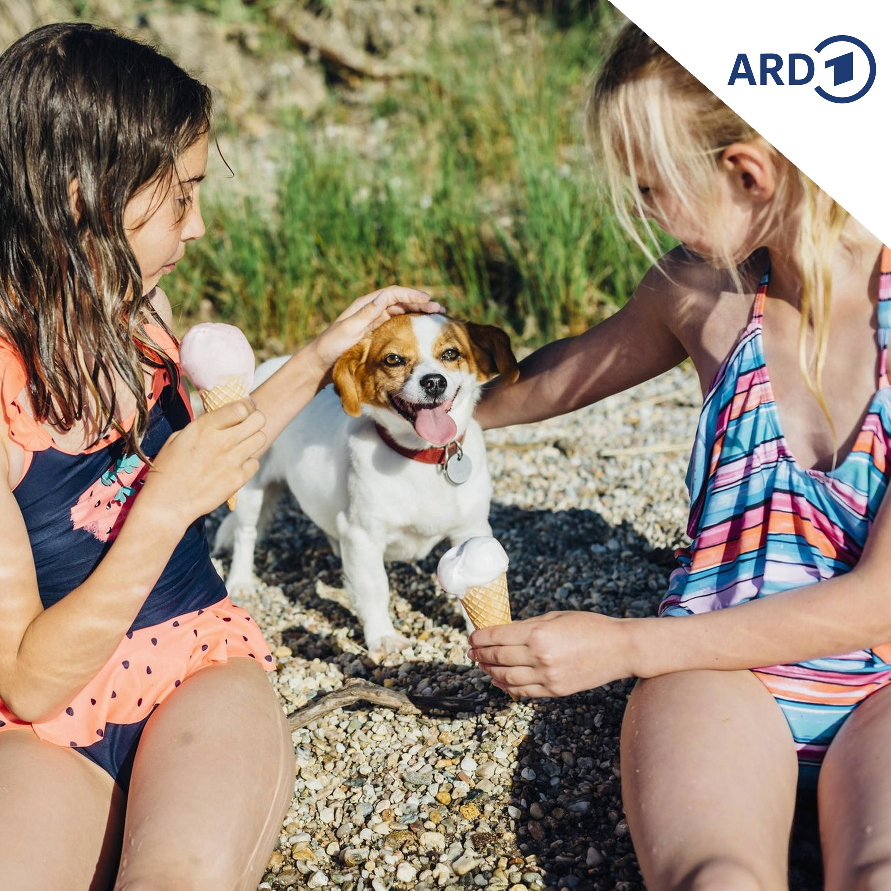 Zauberei zum Urlaubsstart!