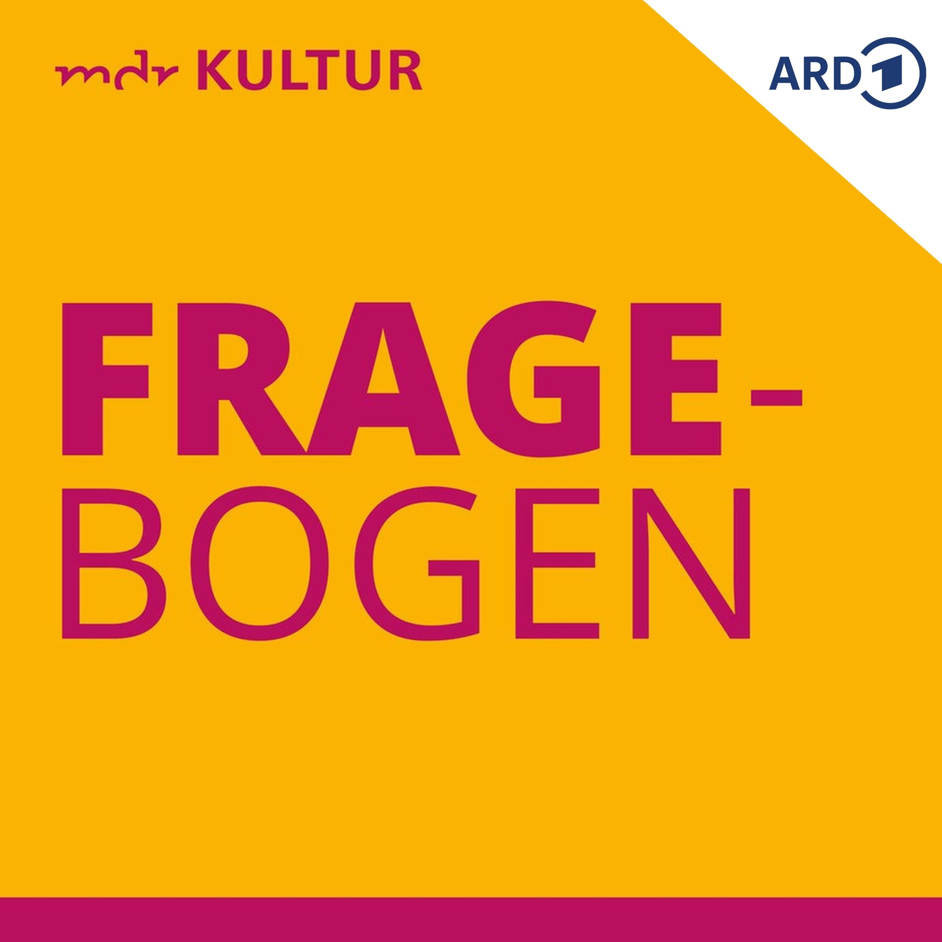 MDR KULTUR Fragebogen