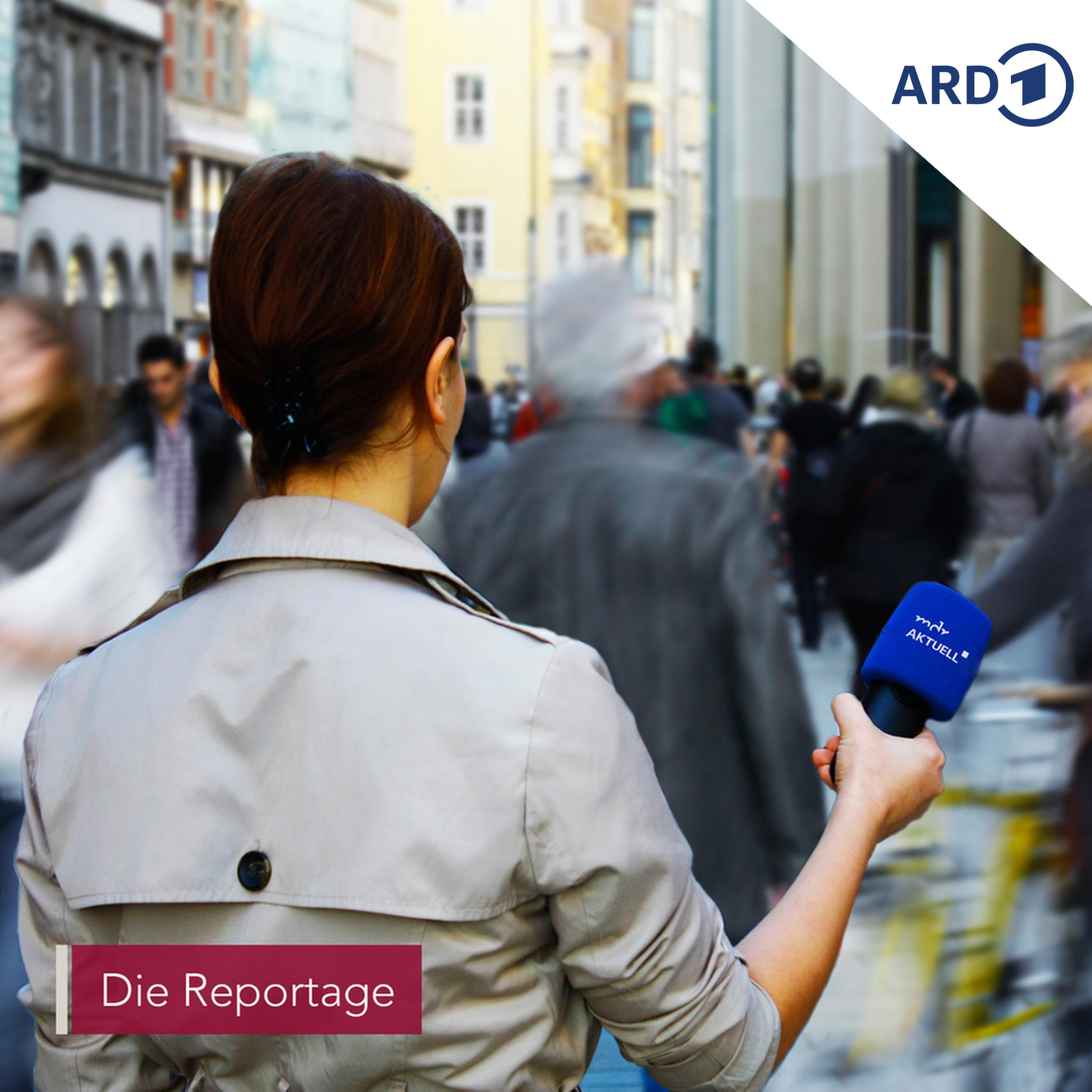 Das Maß der Dinge