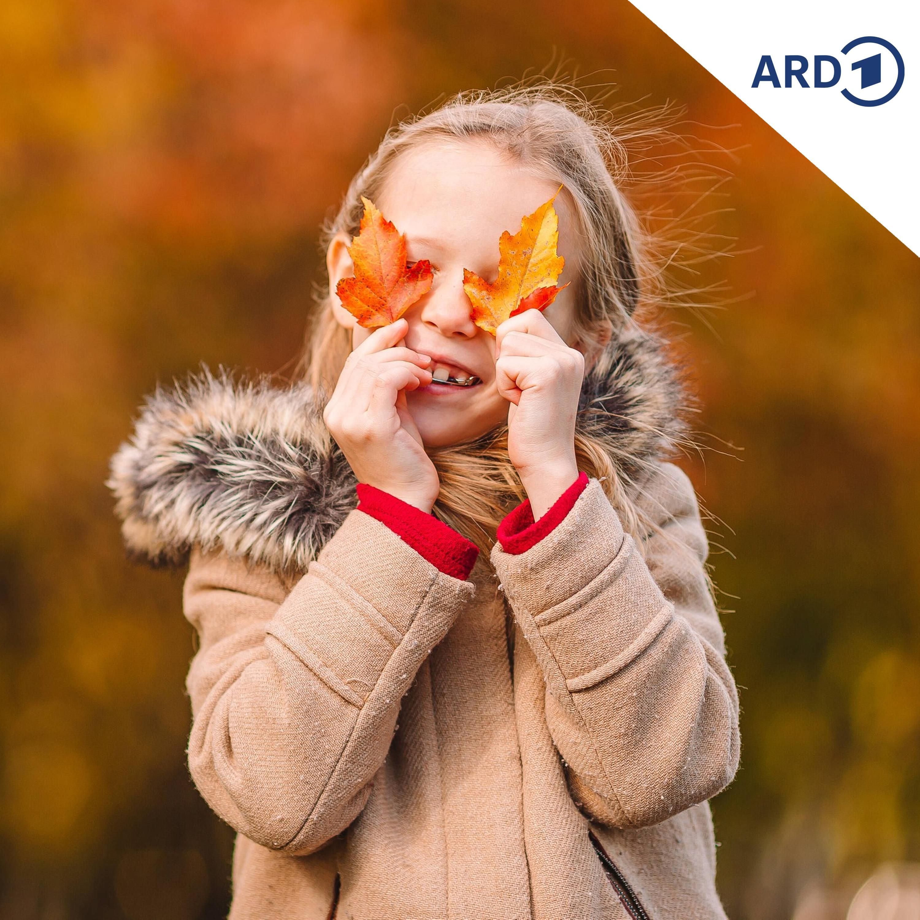 Herbst - na und? Die Blätter bleiben am Baum!