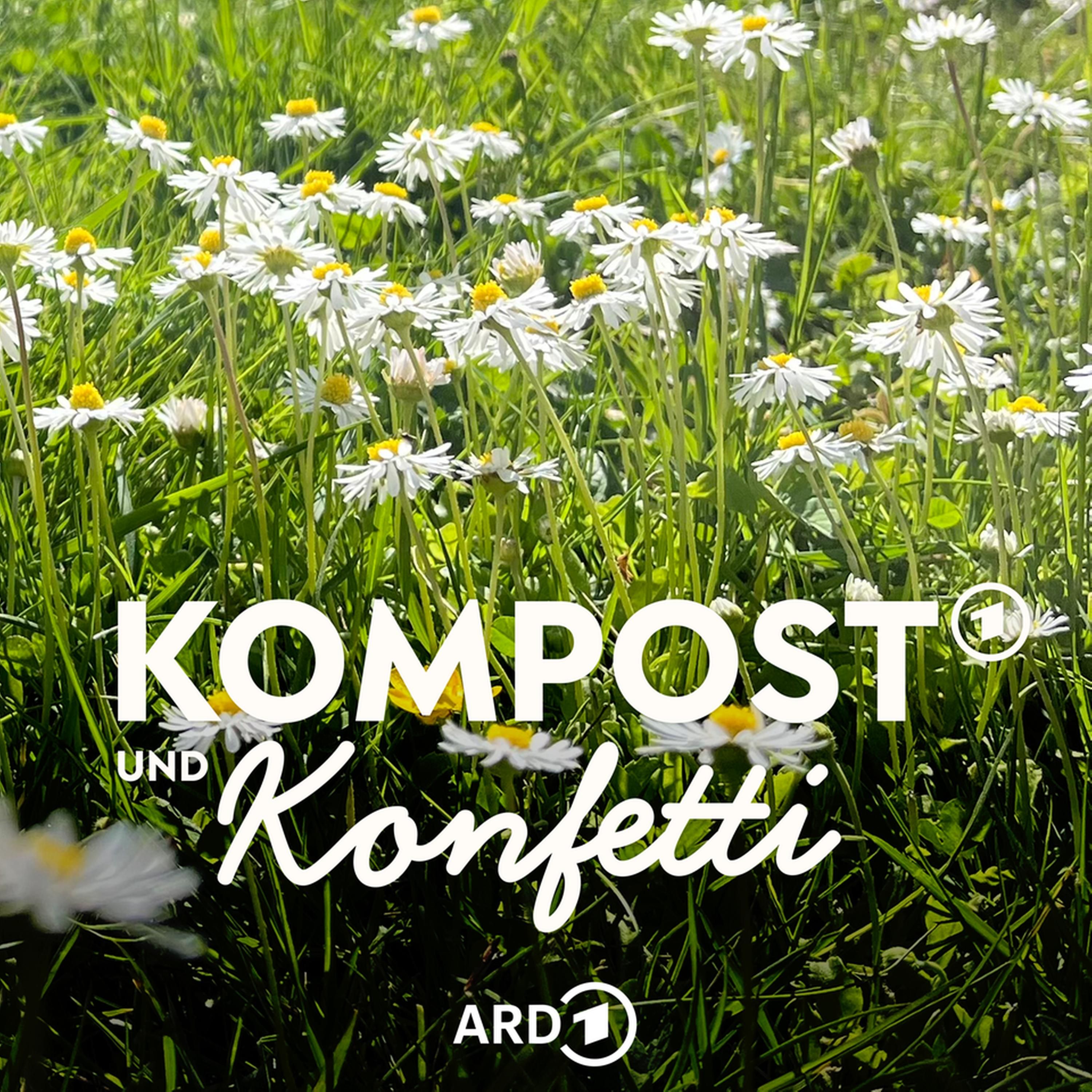 Rasen im Frühling - mit René Wadas