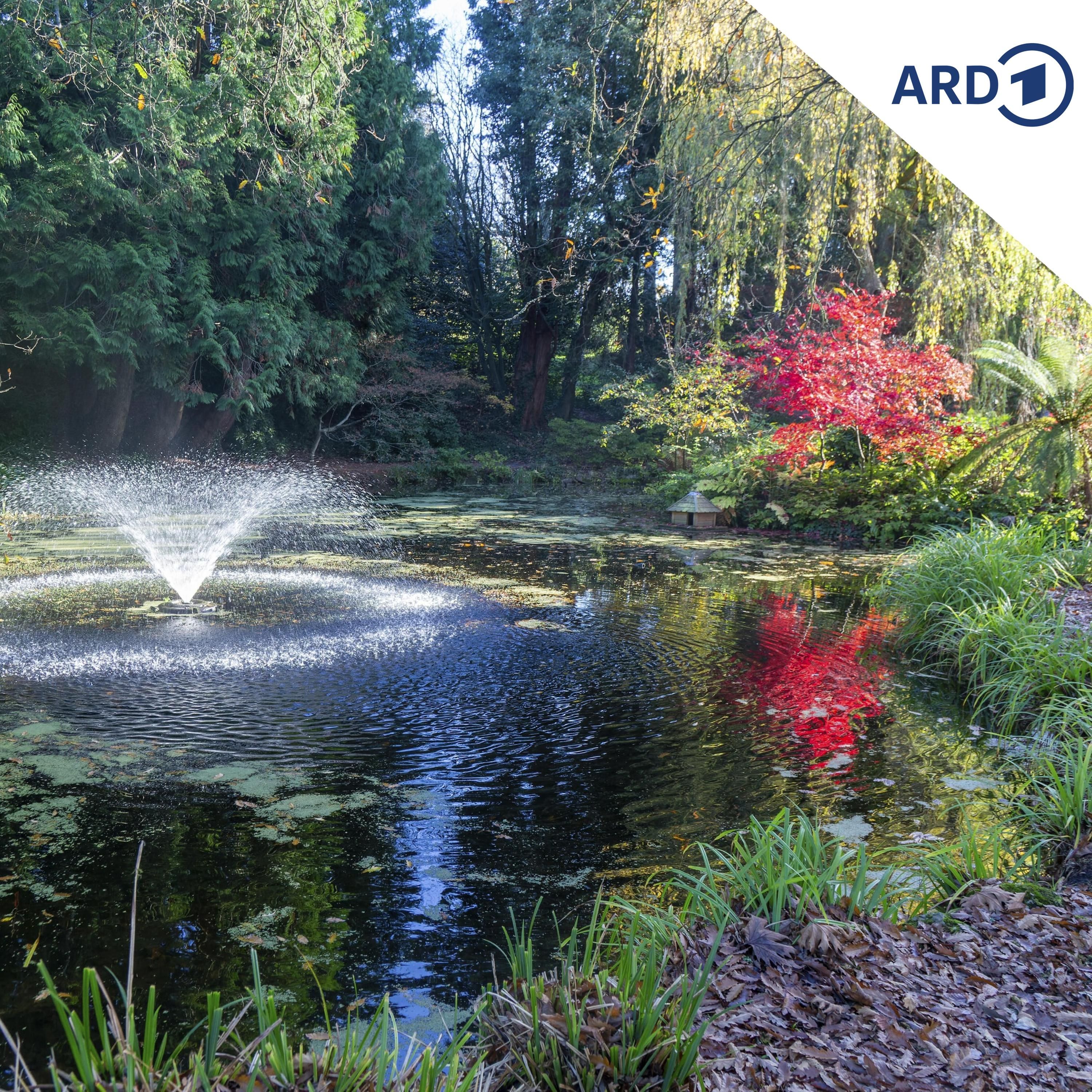 Ein Springbrunnen mit Hasenohren und Wichtelmütze