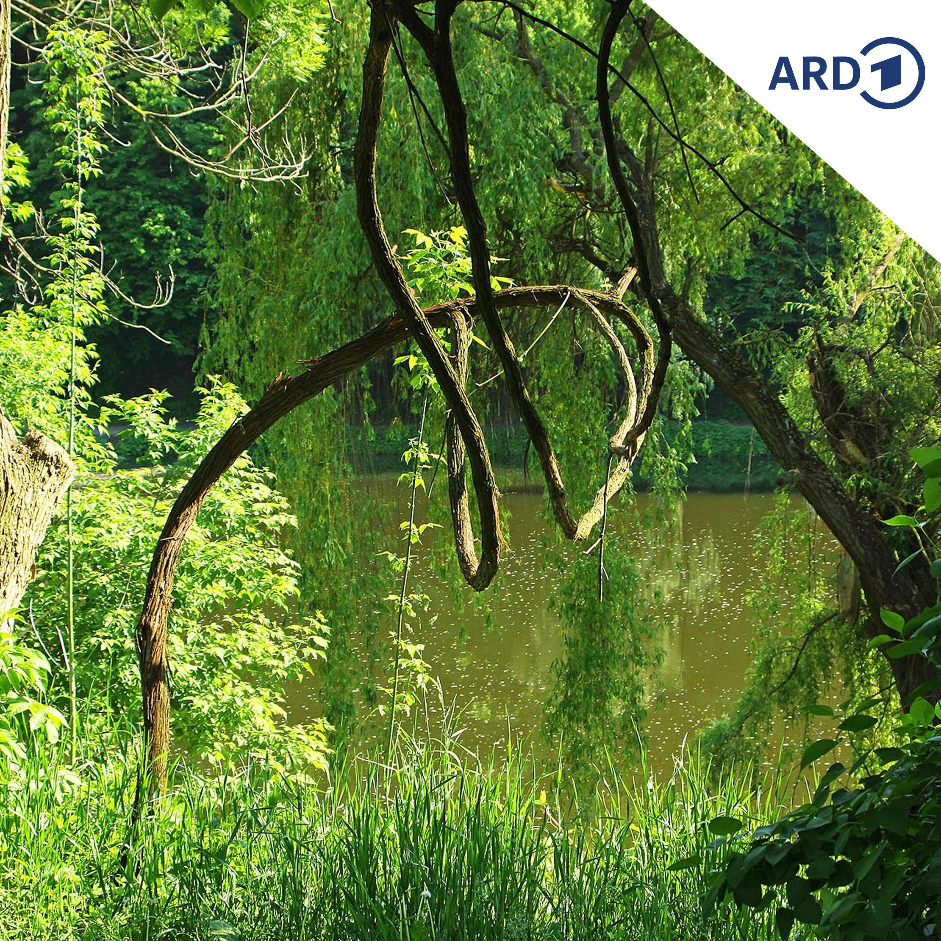 Dschungel-Alarm im Hasenwald!