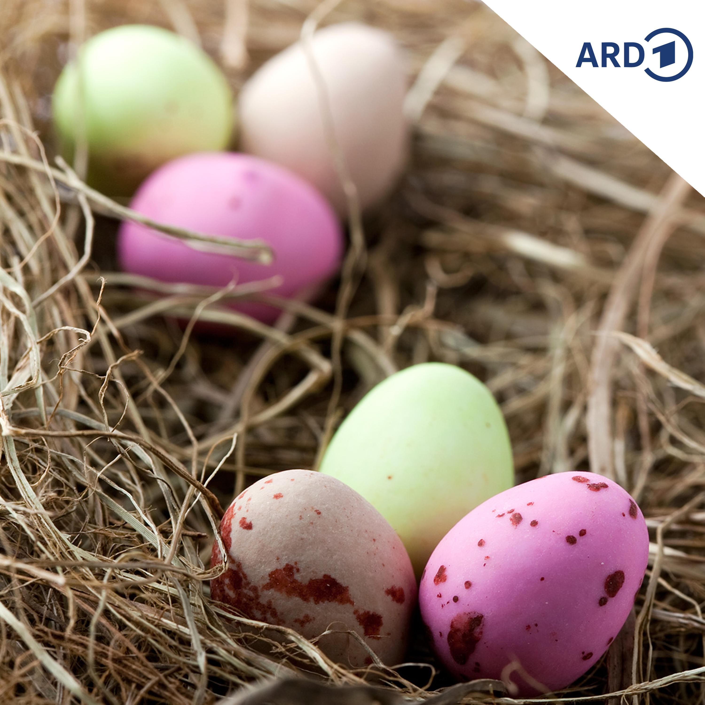 Hasen brüten Hasen aus – echt jetzt?!