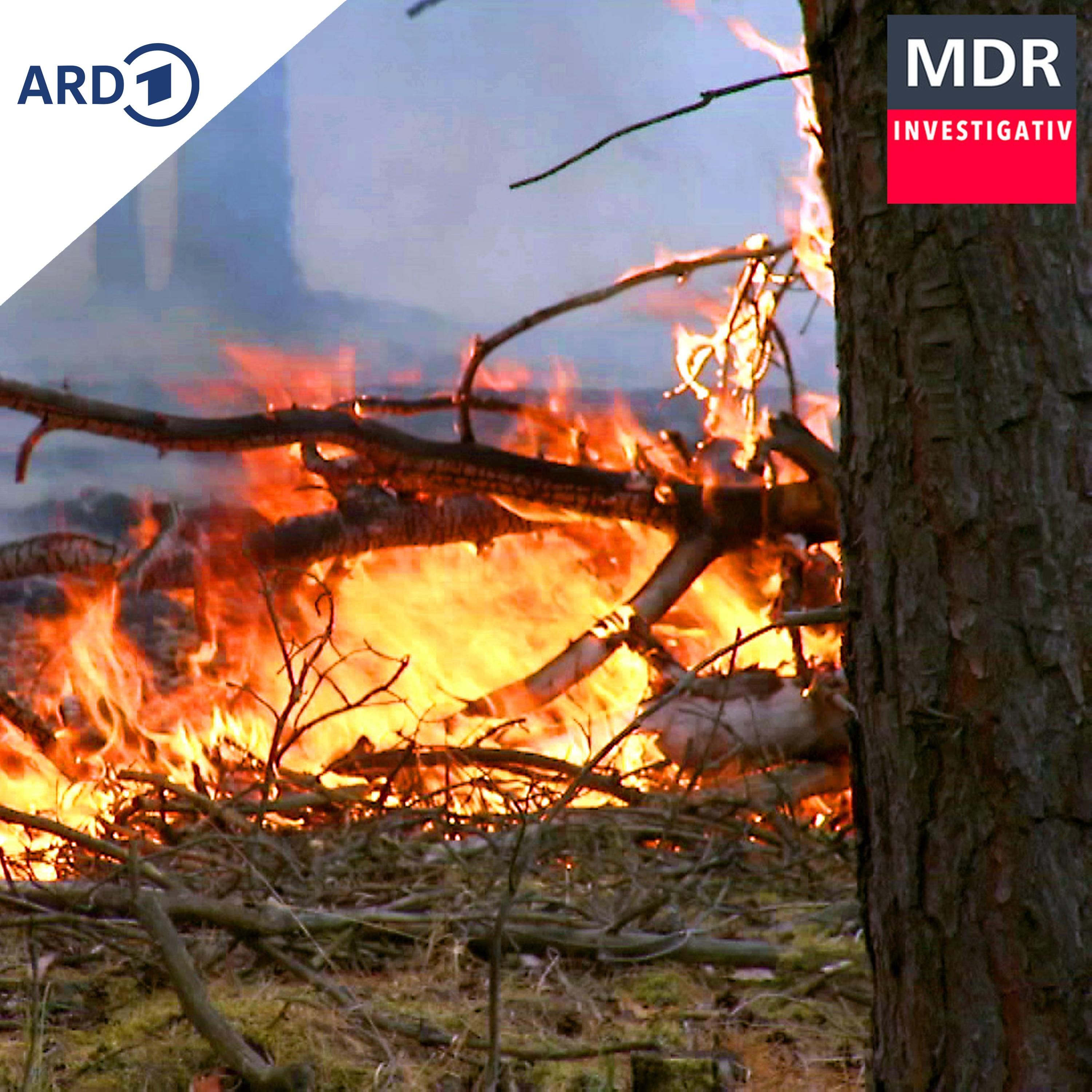 Explosionsgefahr bei Waldbrand – warum das Löschen oft schwierig ist