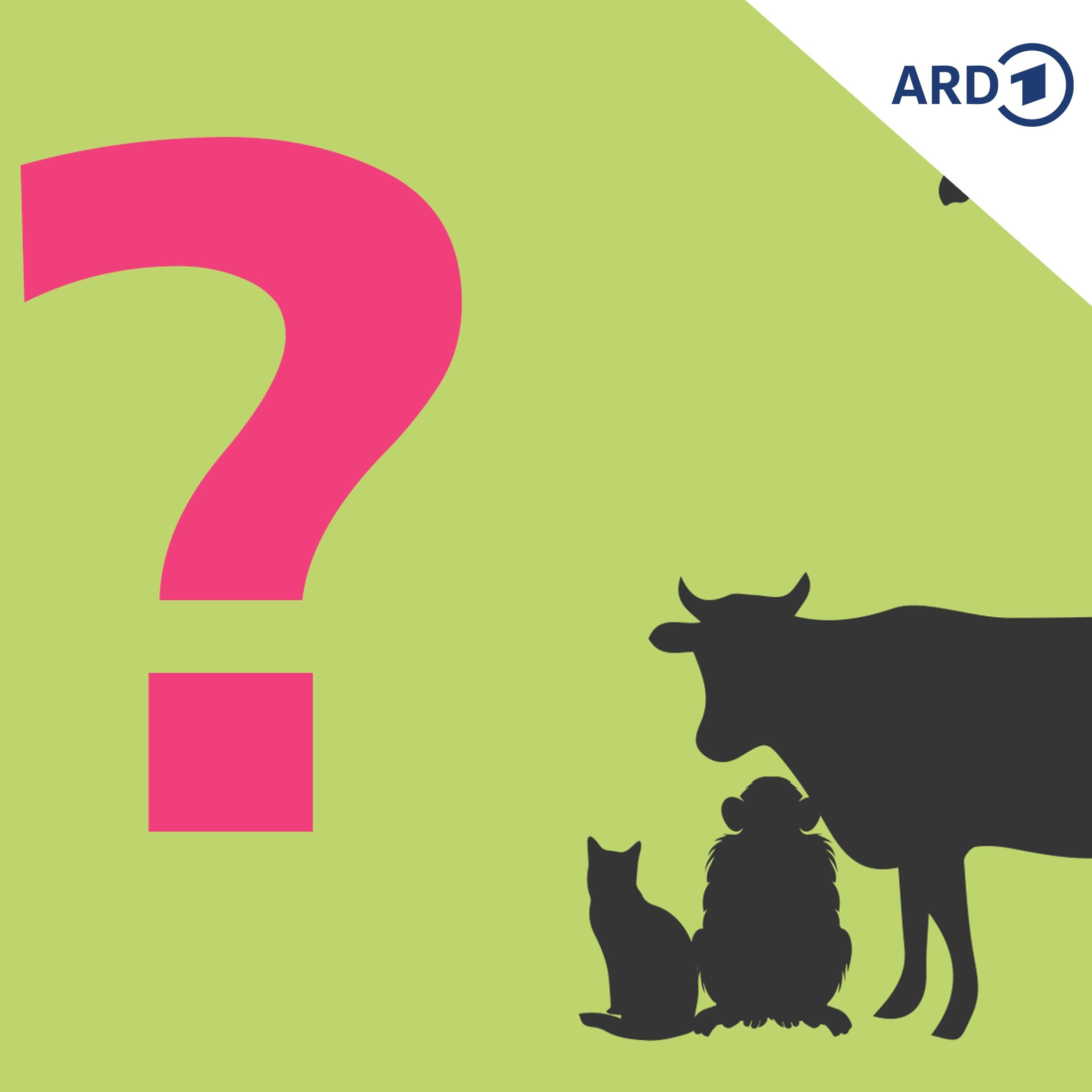 Willi und das Tier ohne Hals!