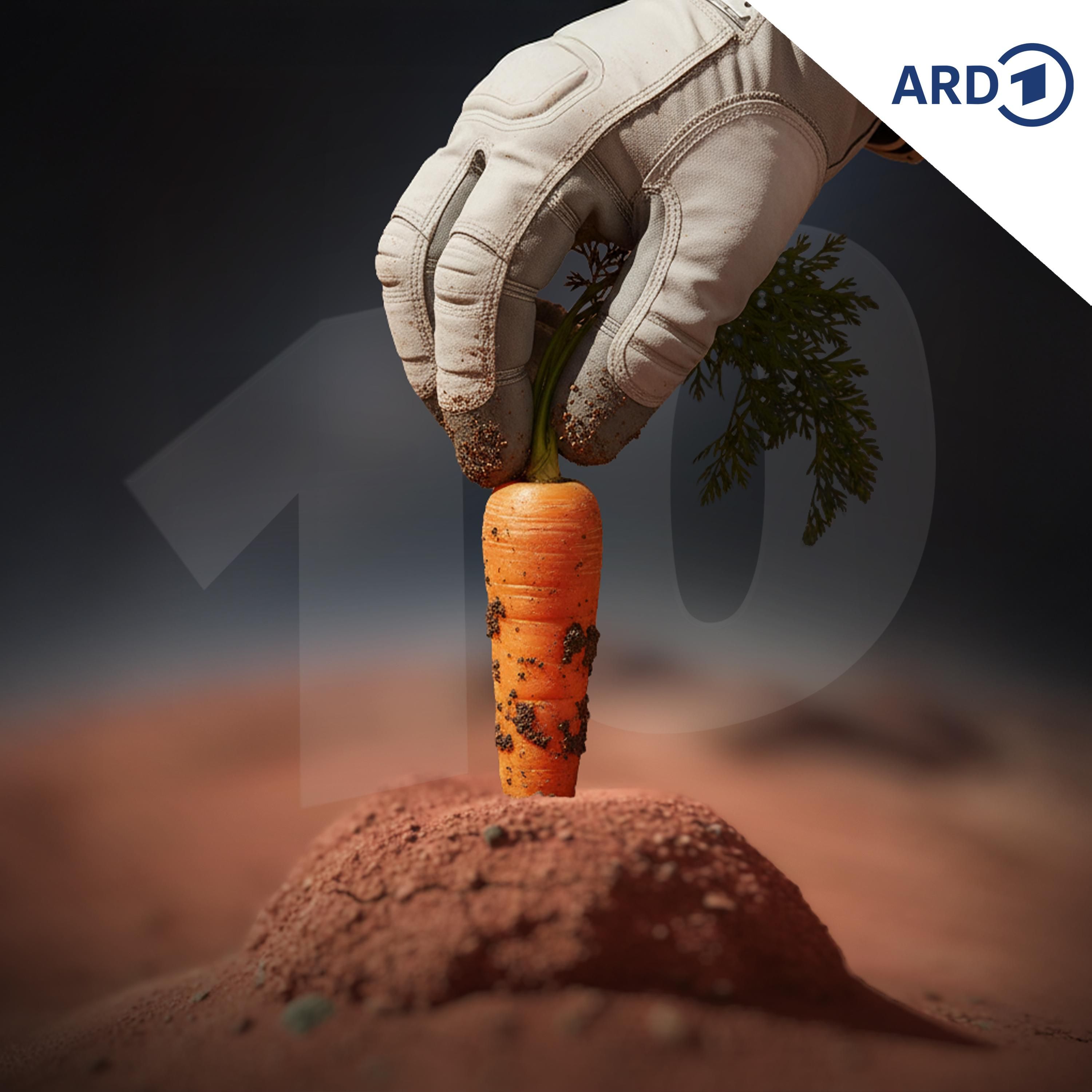 Können wir den Mars besiedeln?