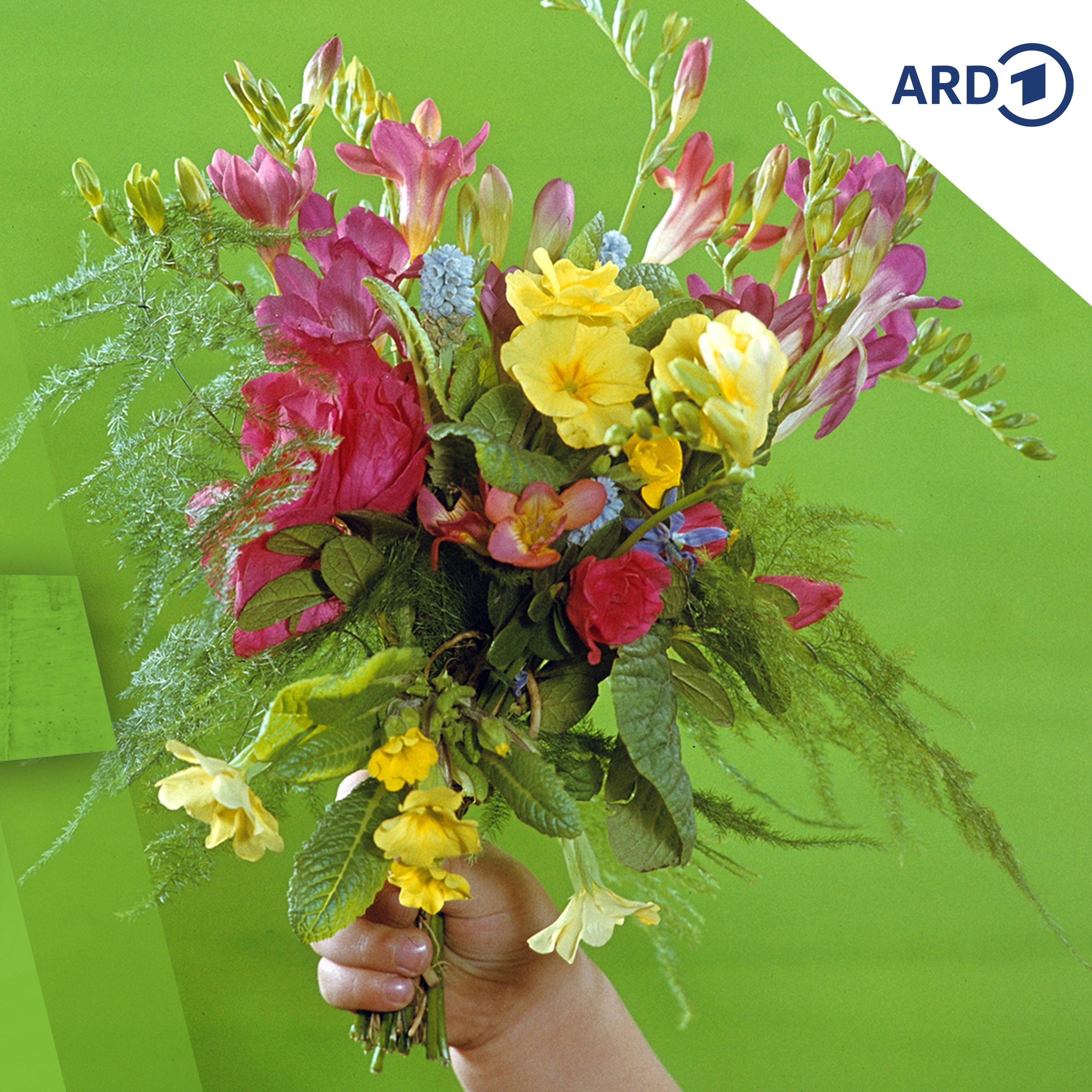 Der blühende Osten - Blumen in der DDR