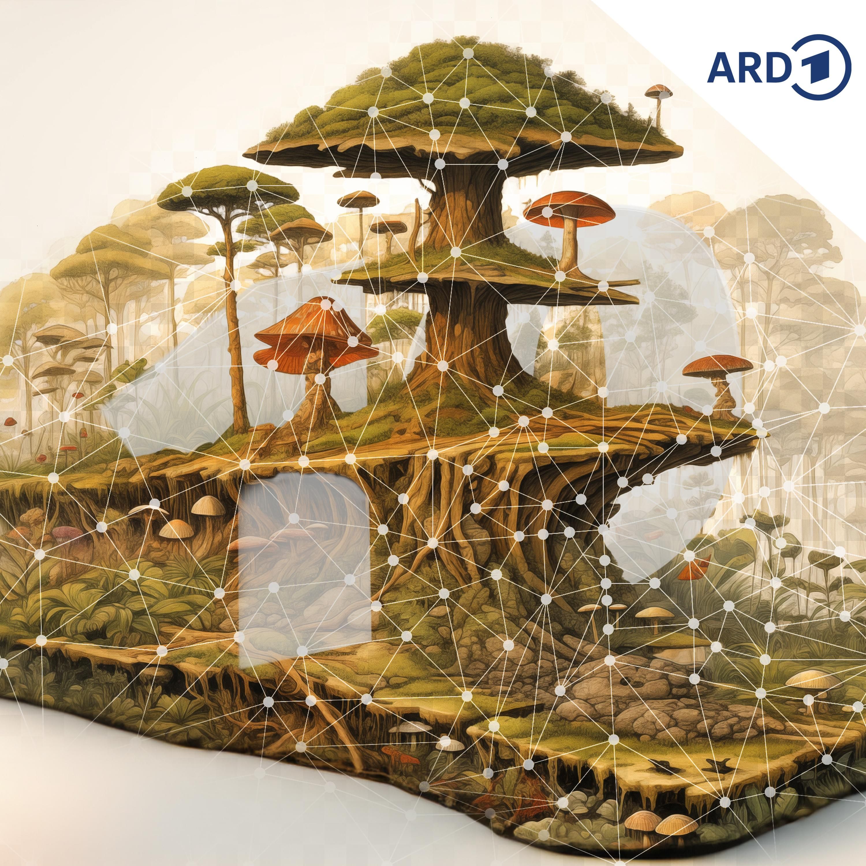 Wie funktioniert der Wald?