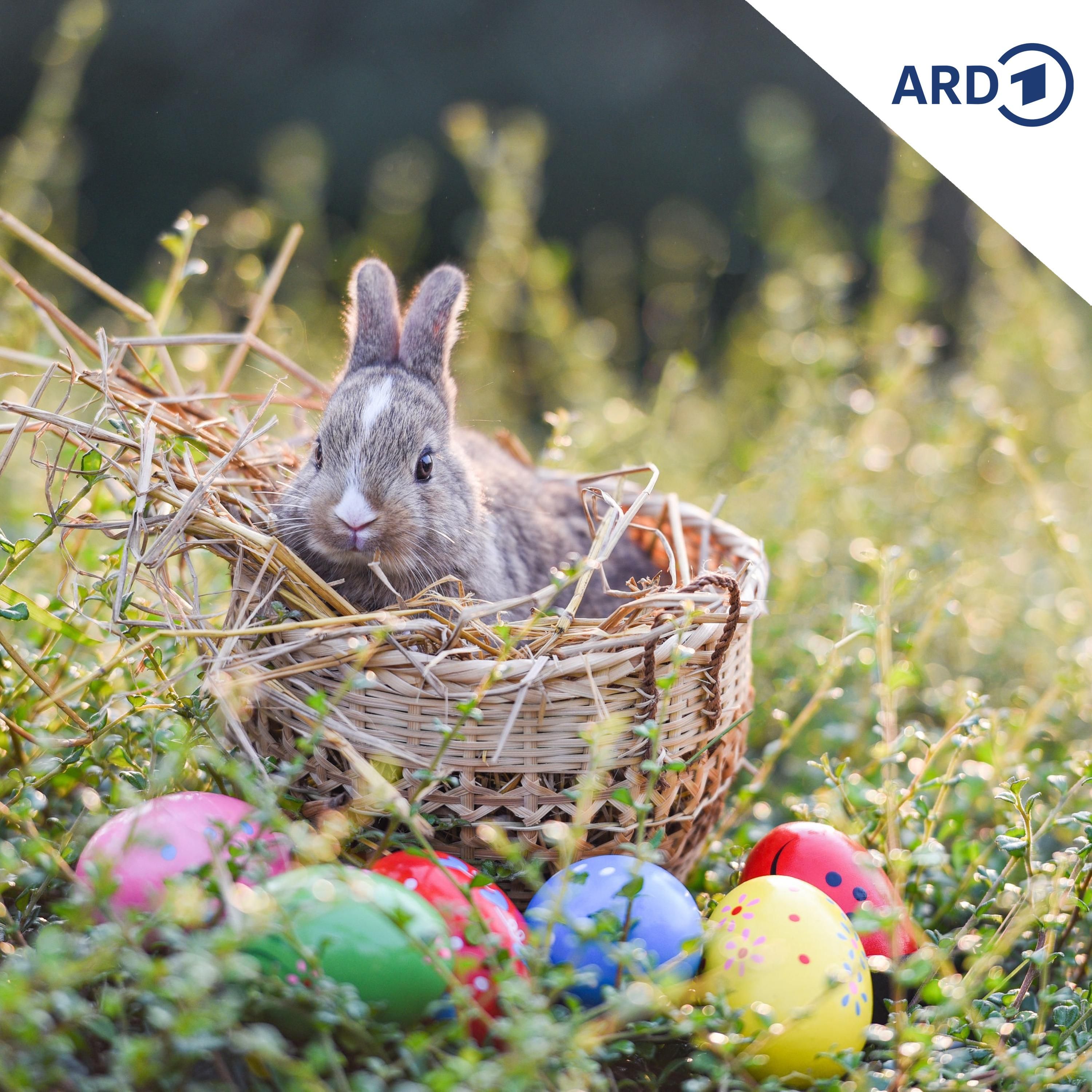 Der erste eierlegende Hase