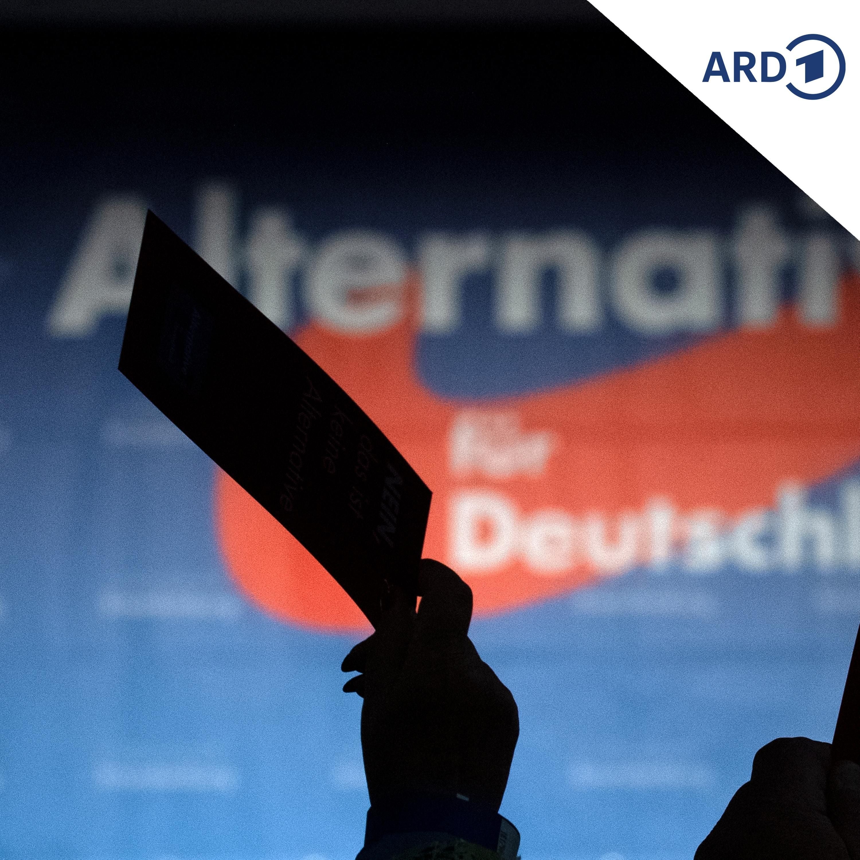 10 Jahre AfD: Gekommen, um zu bleiben