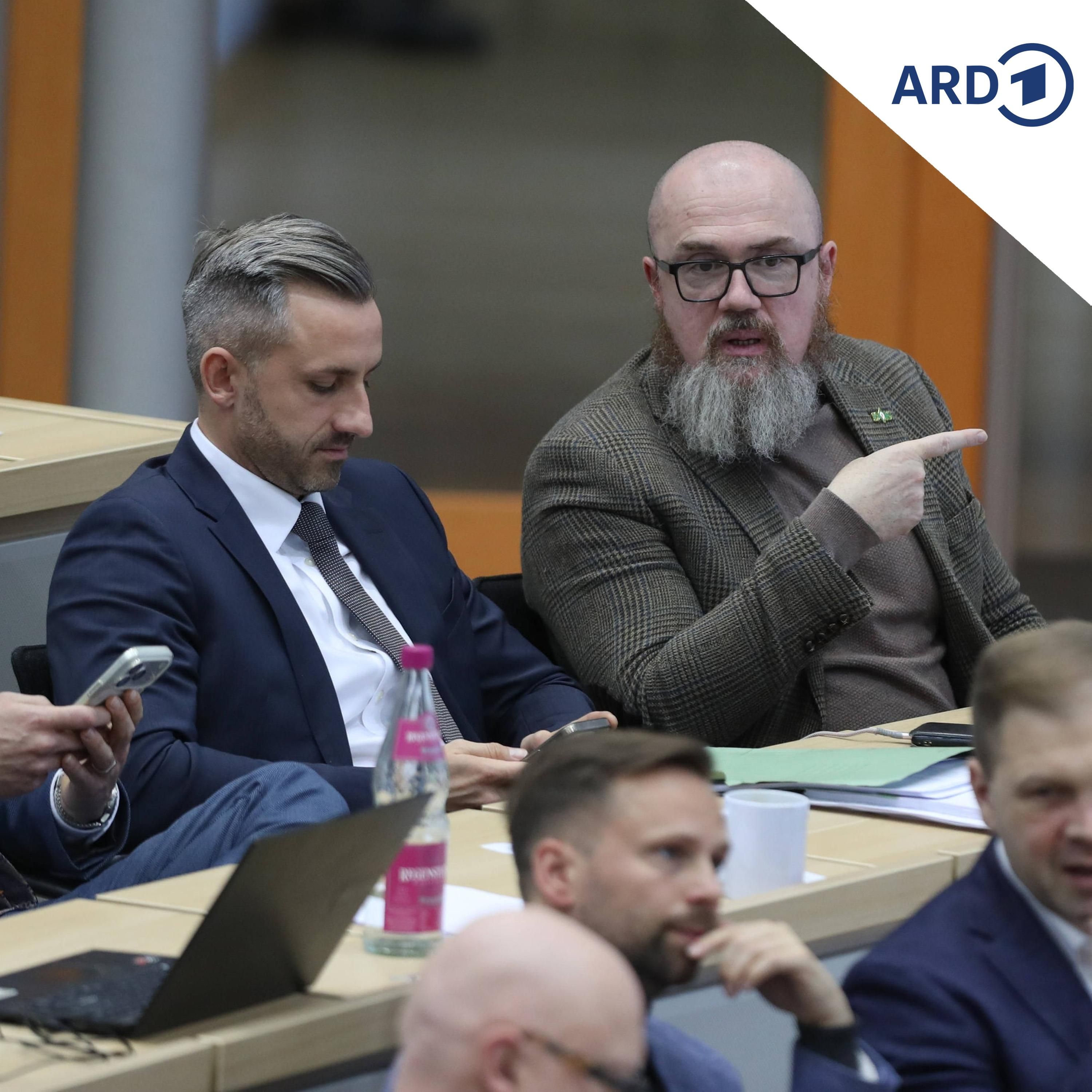 AfD-Basis in Sachsen-Anhalt fordert Landesparteitag zu möglicher Vetternwirtschaft