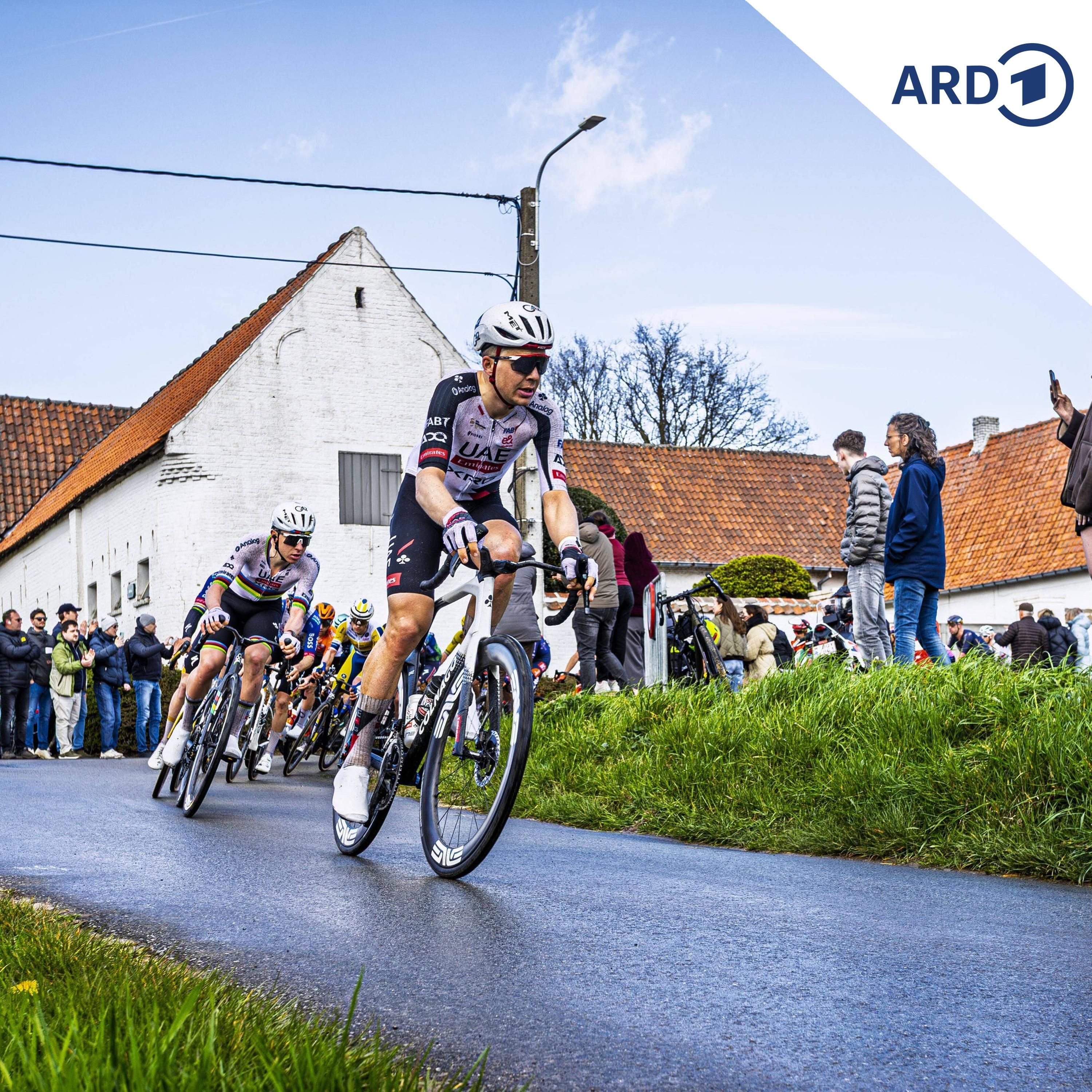 Belgien: Wo Radsport Religion ist