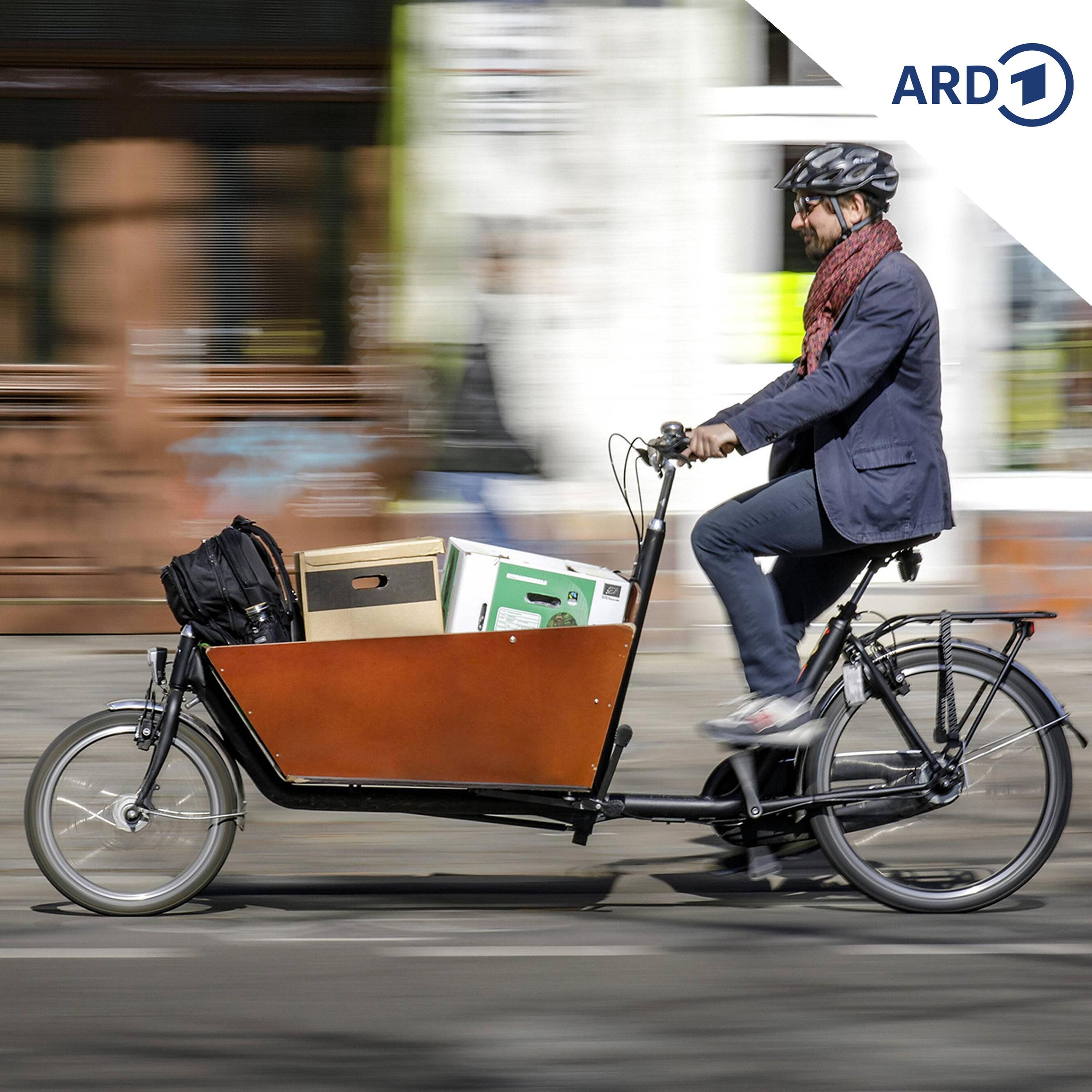 Lastenrad