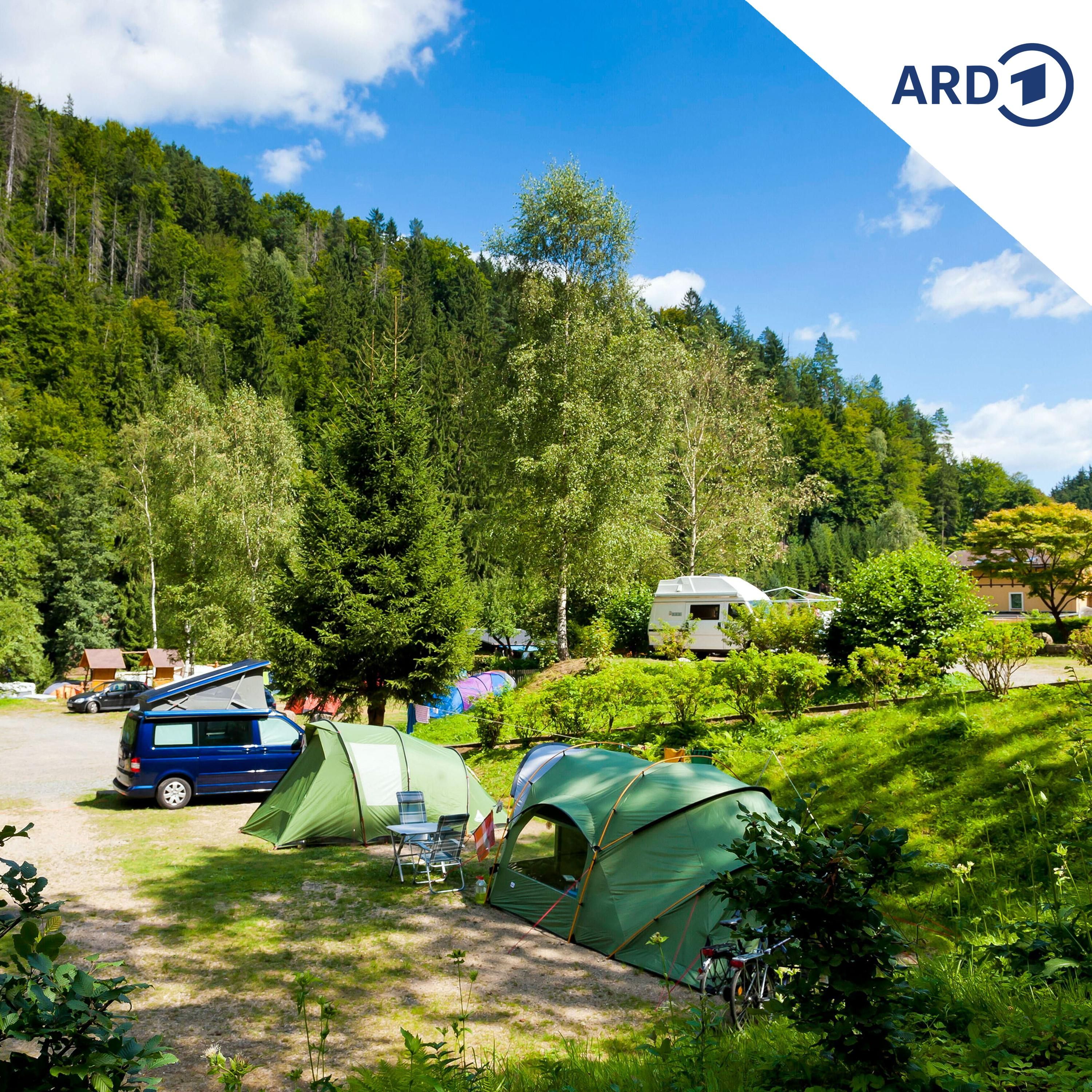 Leben auf dem Platz: Der Alltag als Campingplatzbetreiber