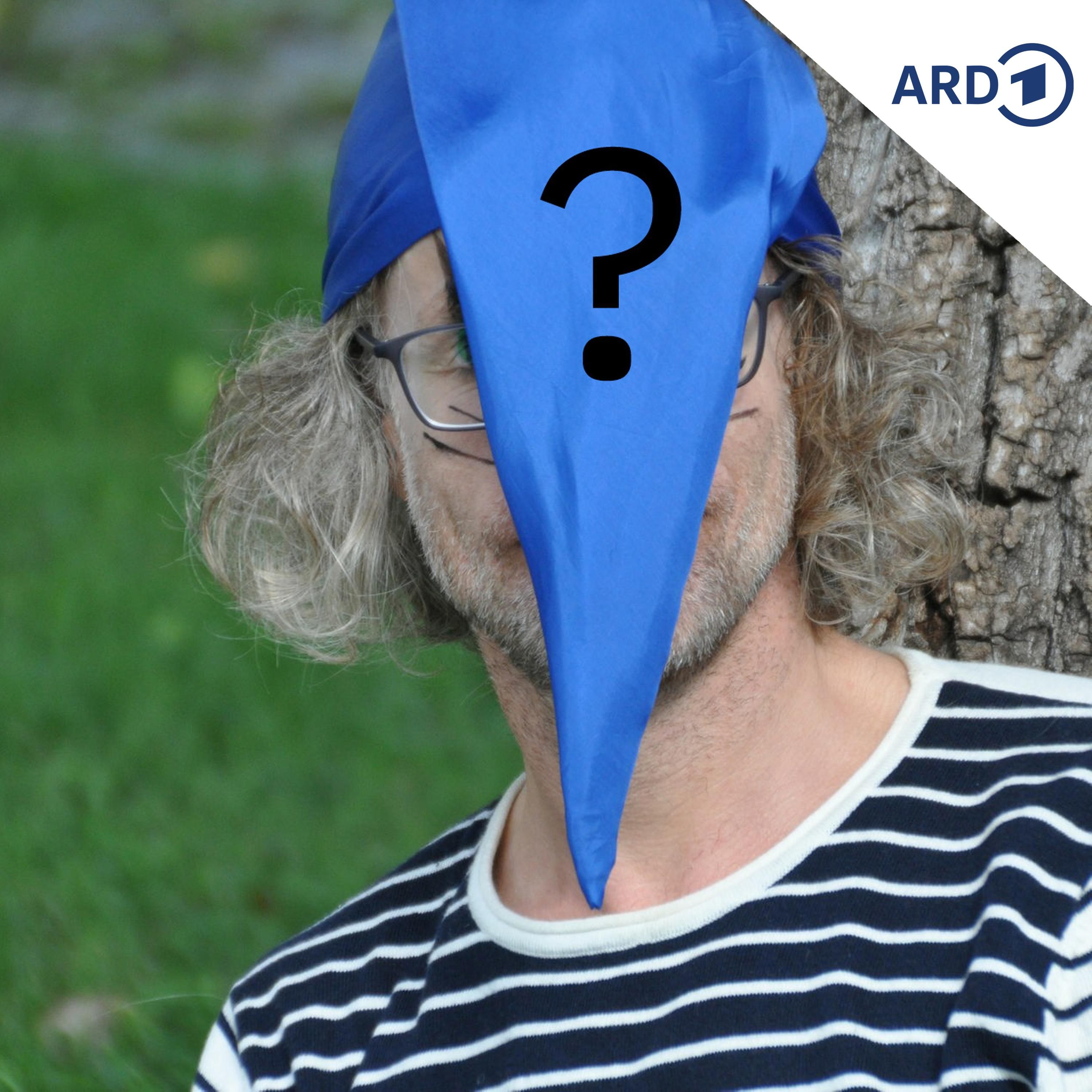 Der "Hilfswilli"
