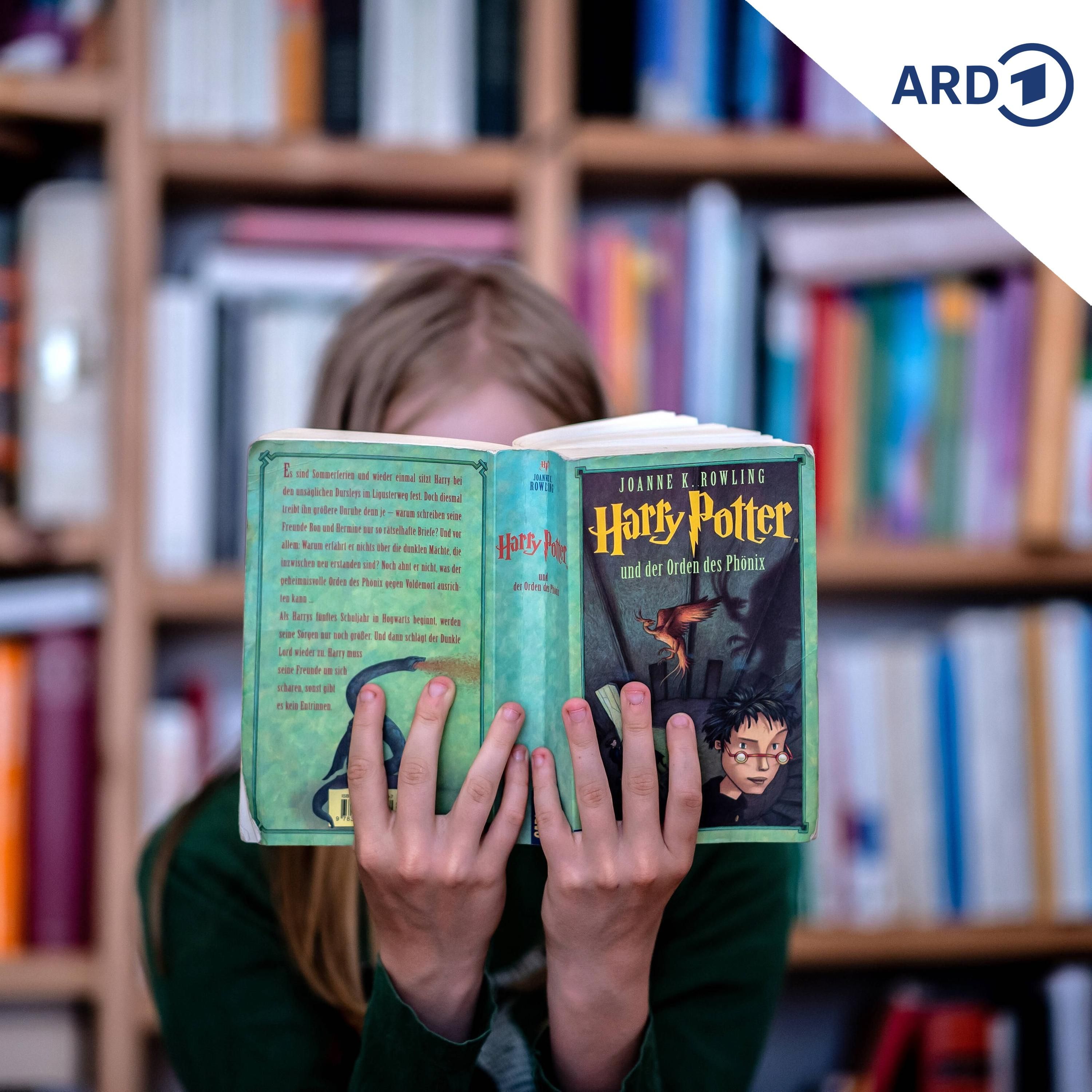 Neue Harry-Potter-Serie erscheint zu Weihnachten