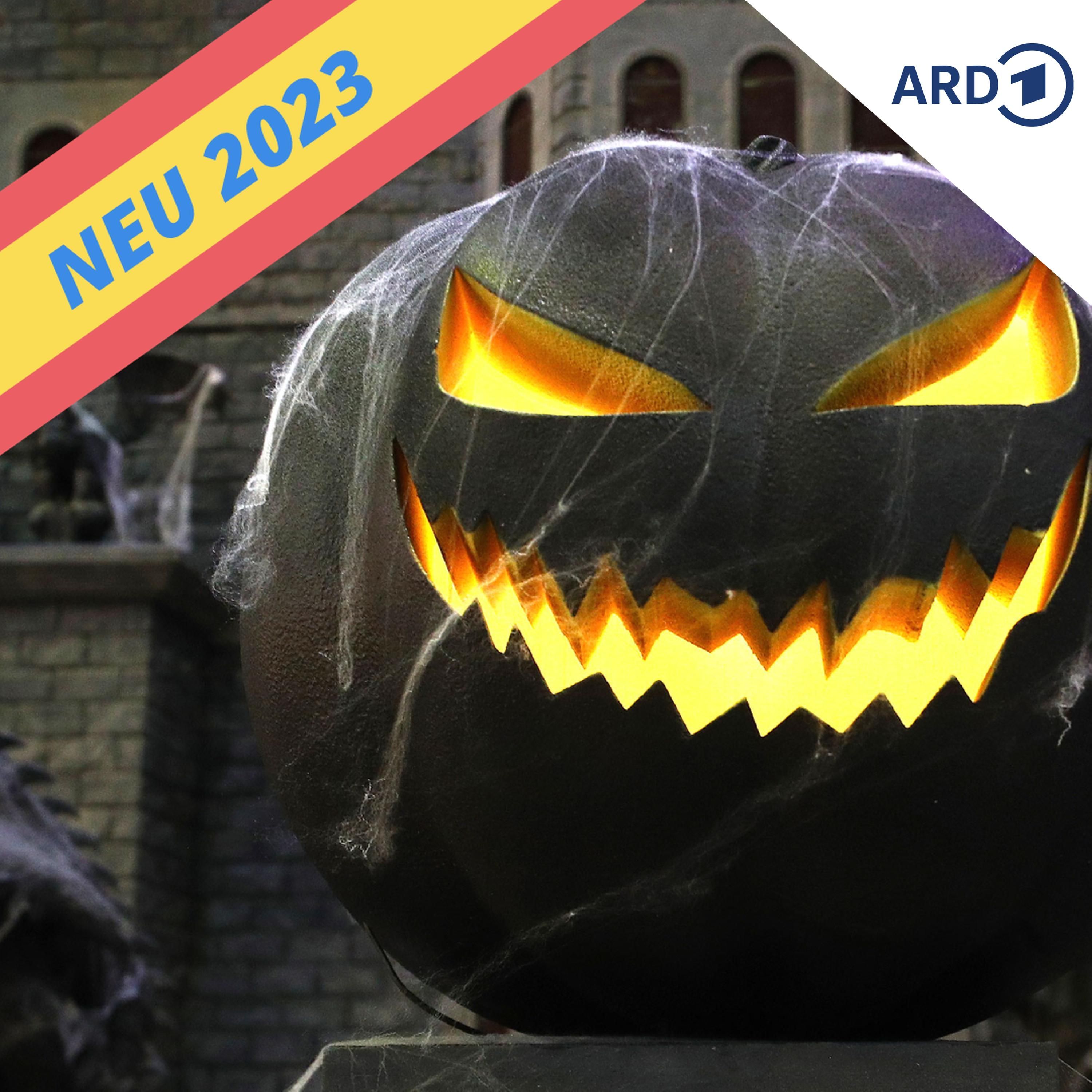 Halloween im Fahrradladen