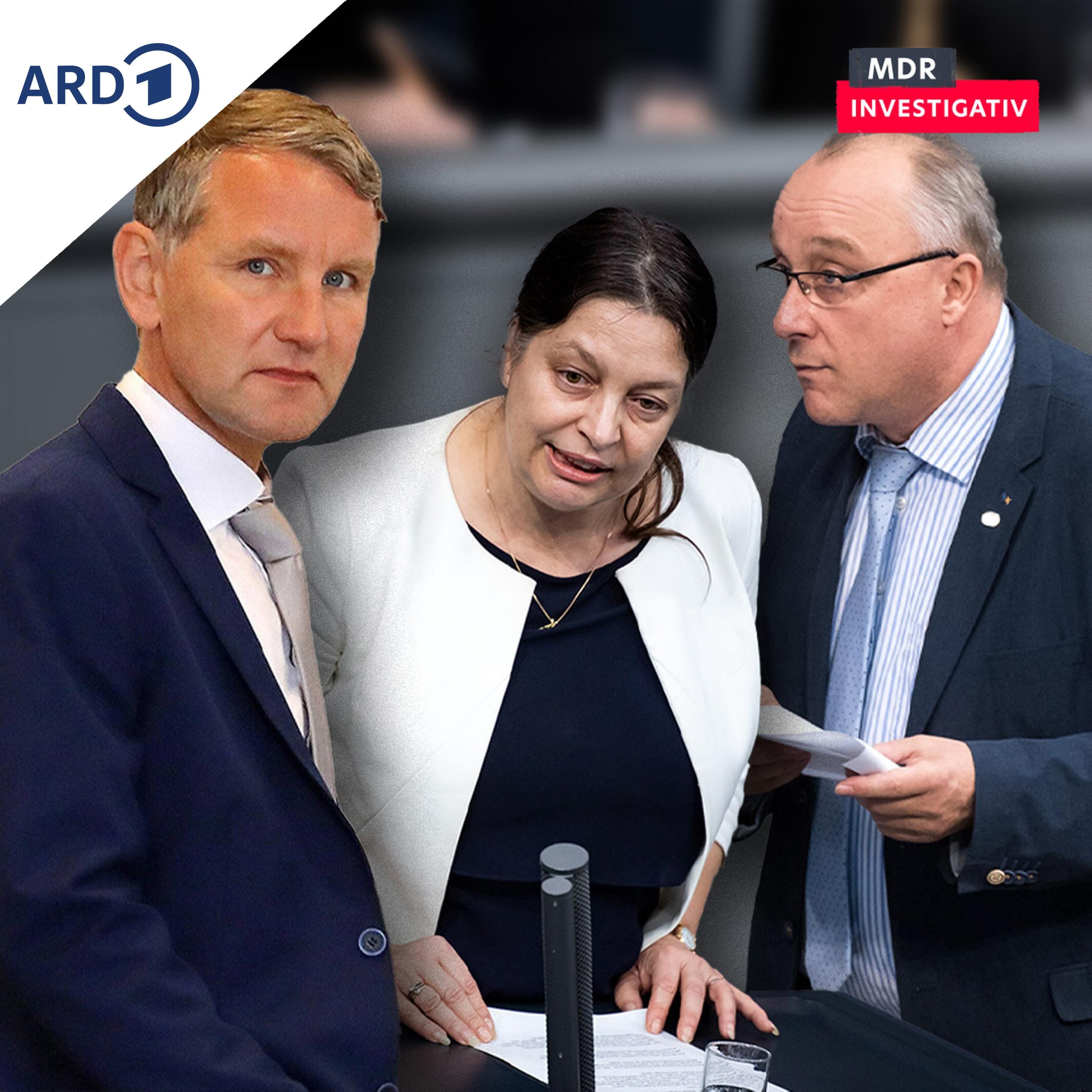 Verfassungs(un)treu? - Radikale Staatsdiener in der AfD