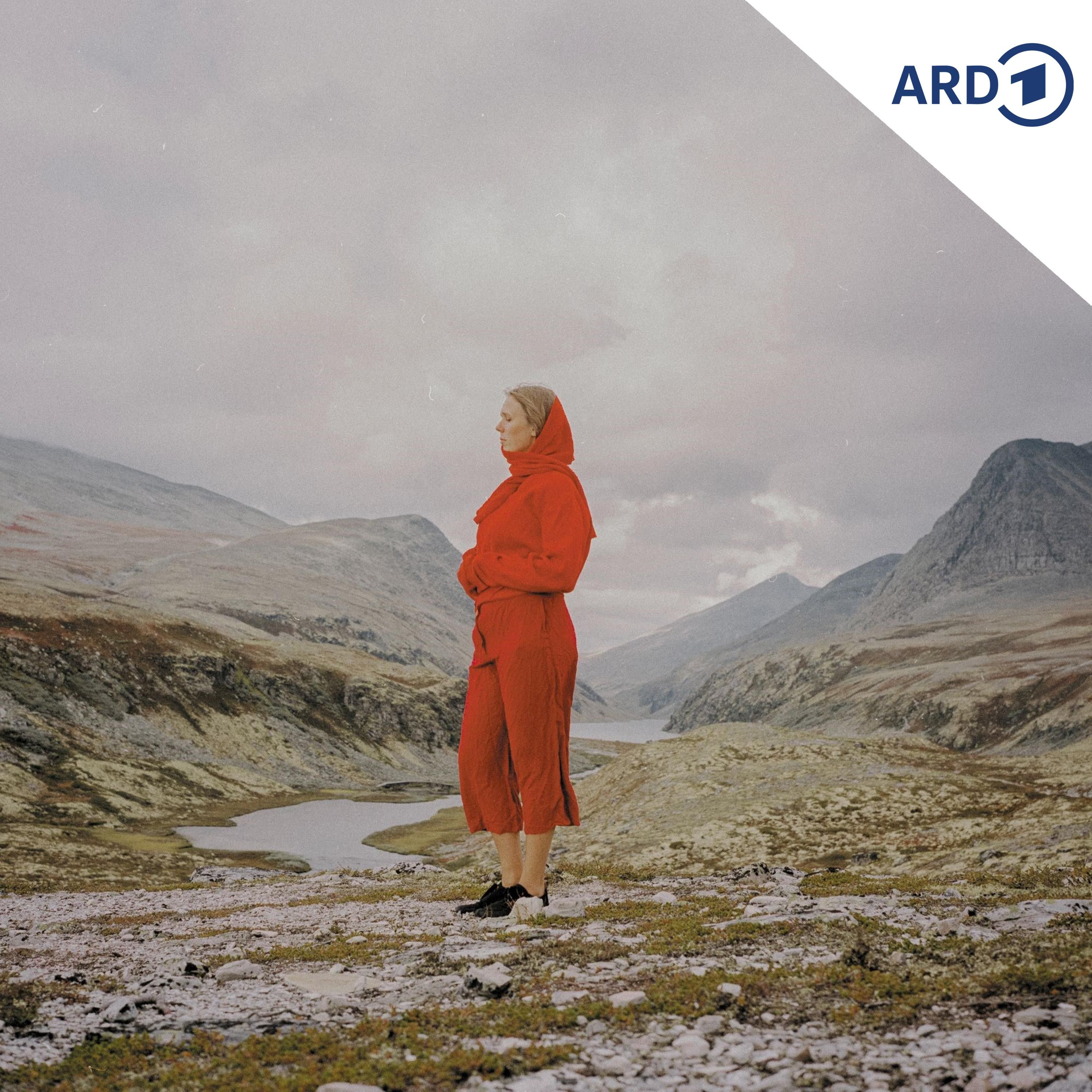 Folk-Klänge aus Norwegen & Irland. Latin-Beats aus Kolumbien, Frankreich und Portugal
