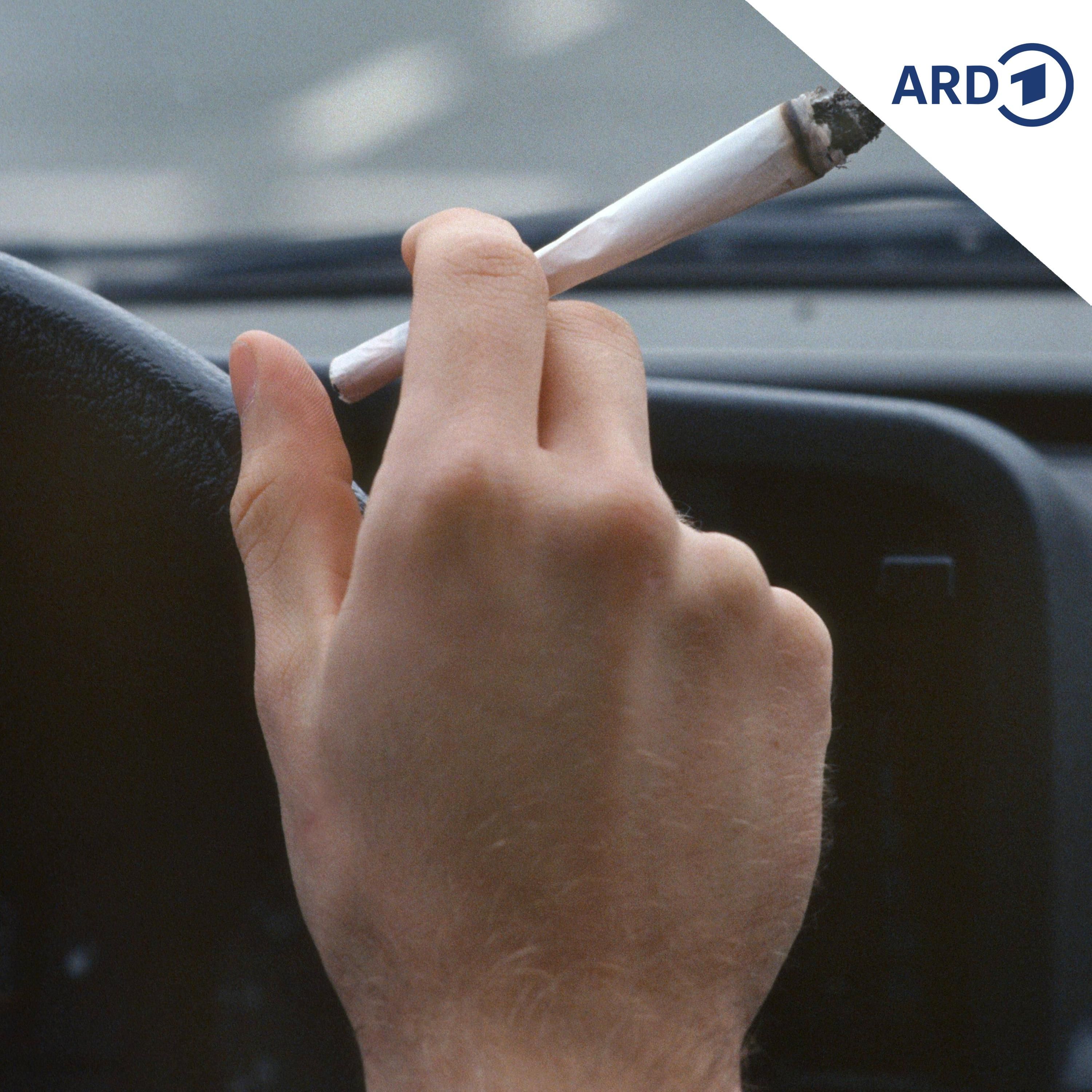 Neue Cannabisgrenzwerte gelten bei Führerscheinentzug nicht rückwirkend