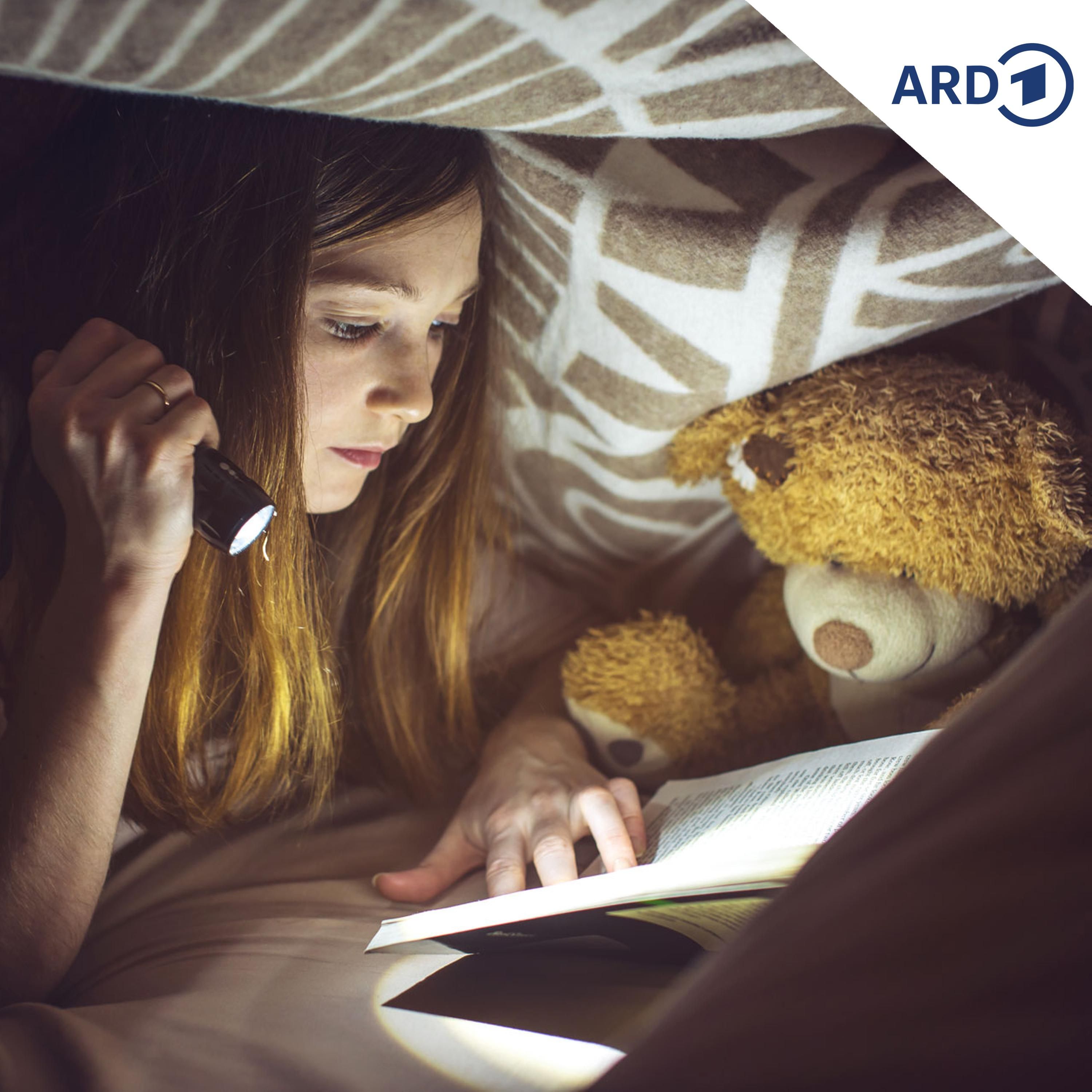 Nicht ohne meinen Teddy