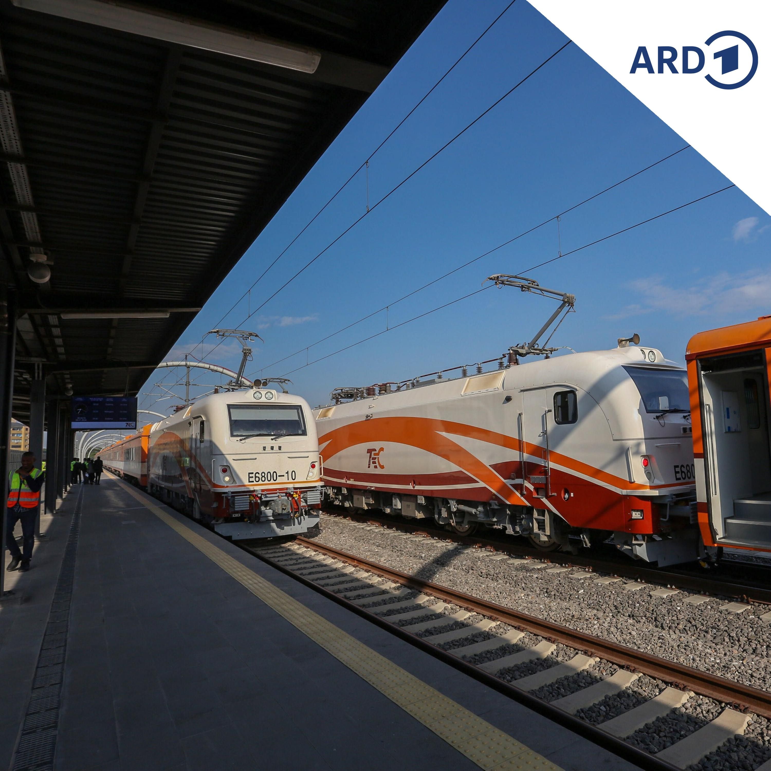 E-Mobilität in Afrika: Wie Tansania bei der Verkehrswende vorangeht