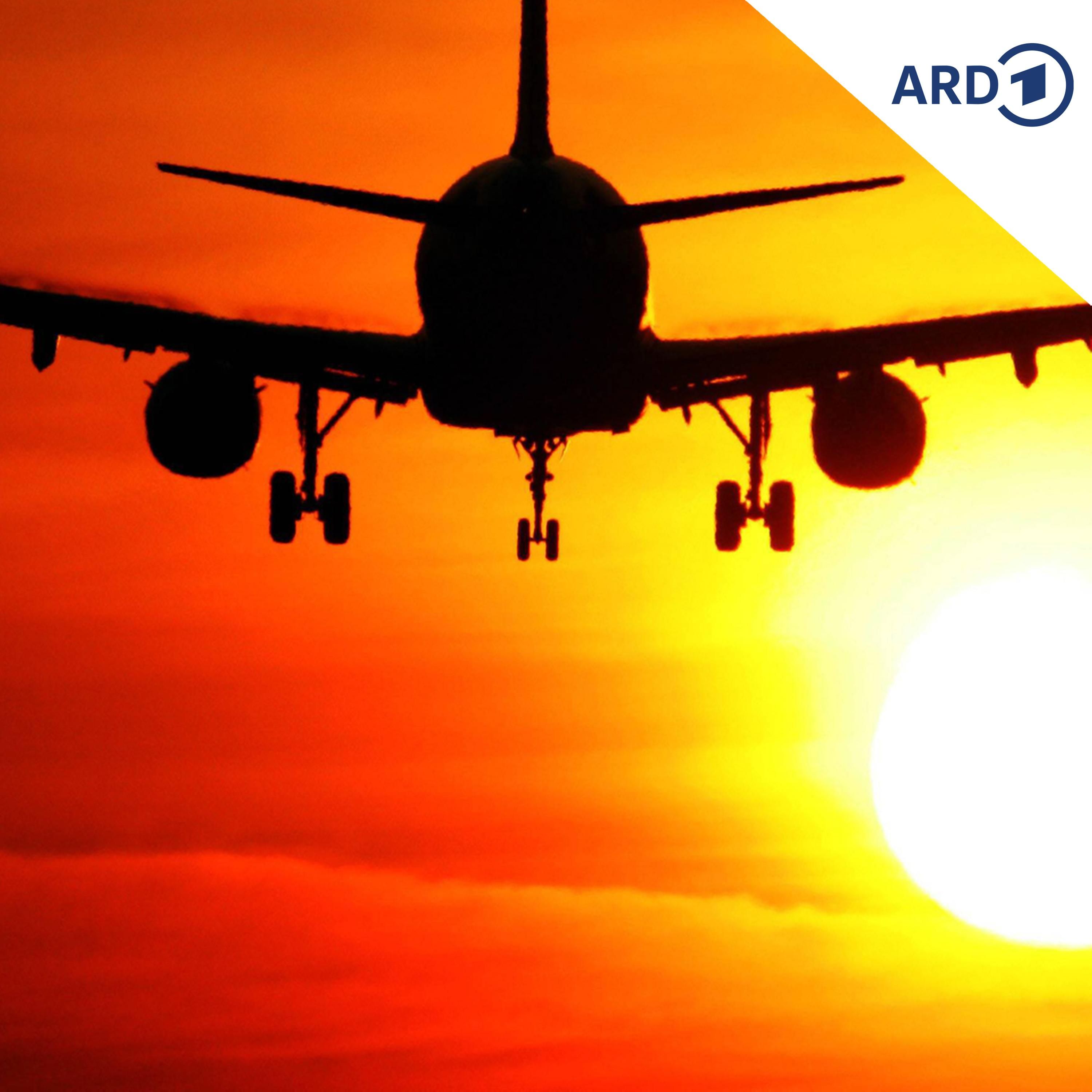 Fliegen ohne schlechtes Gewissen?