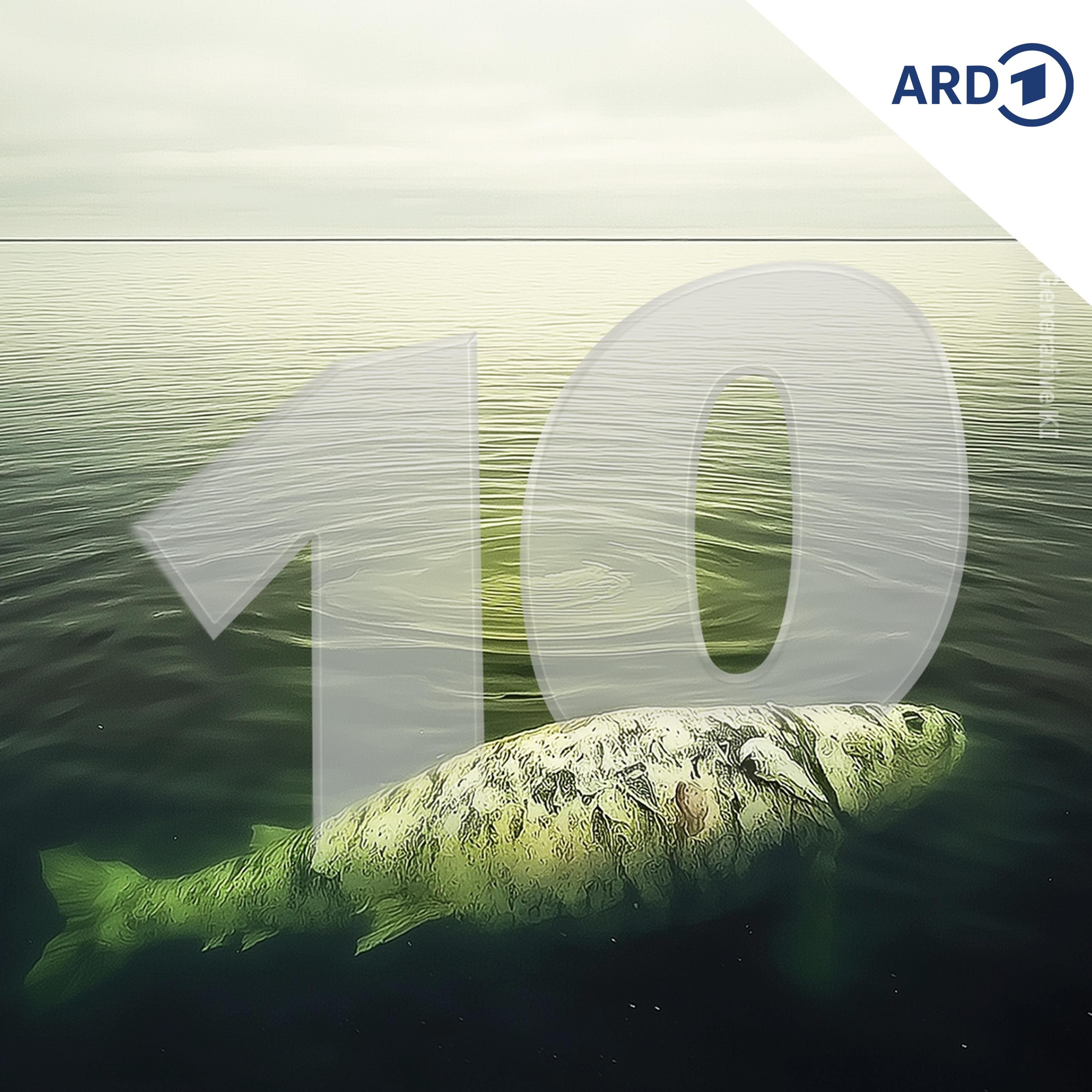 Stirbt die Ostsee?