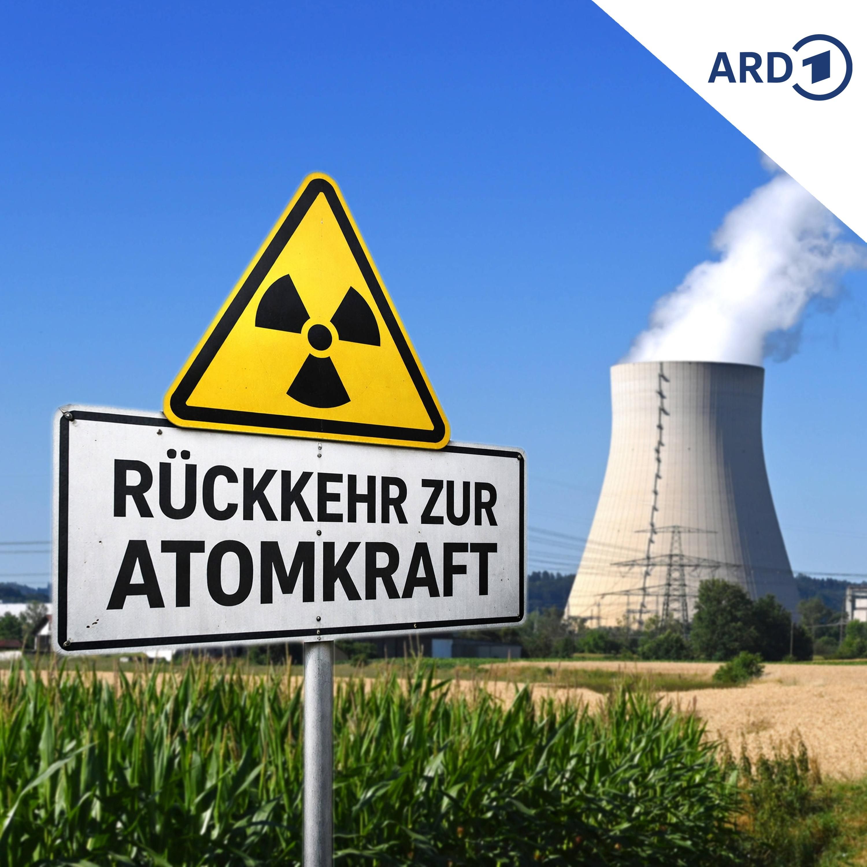 Atom-Comeback: CDU-Politiker streiten über Mini-Reaktoren
