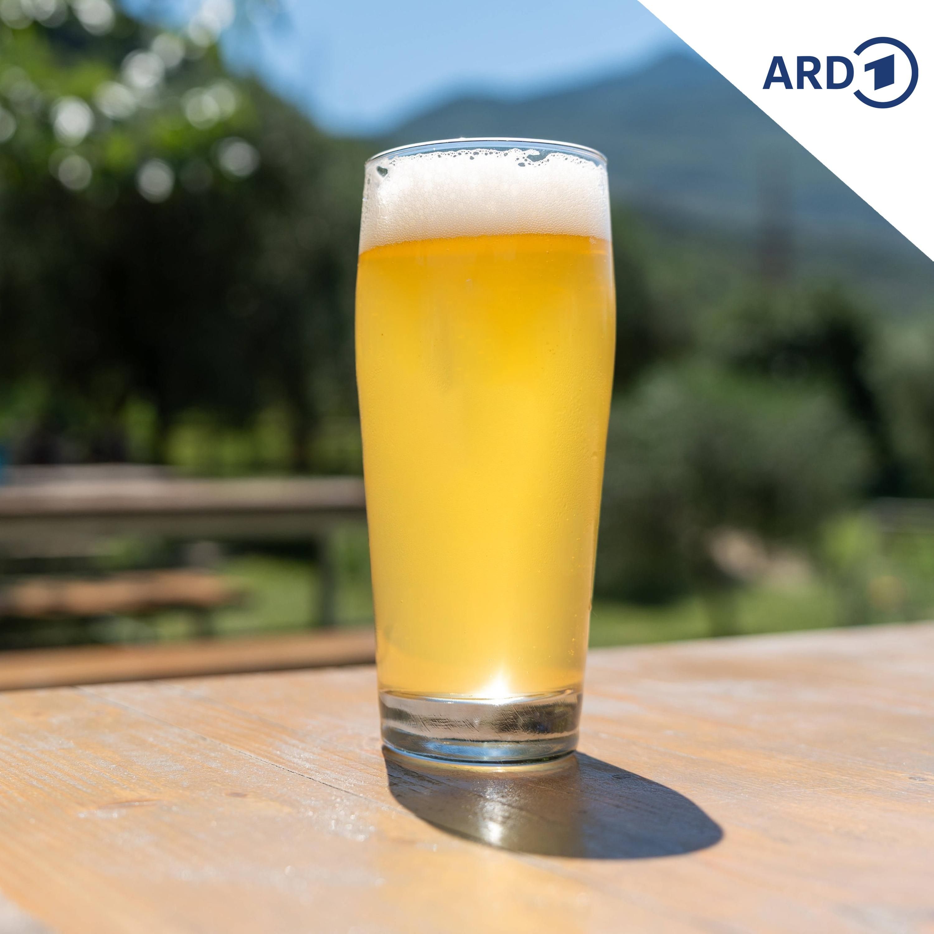 Im Trend: Alkoholfreies Bier