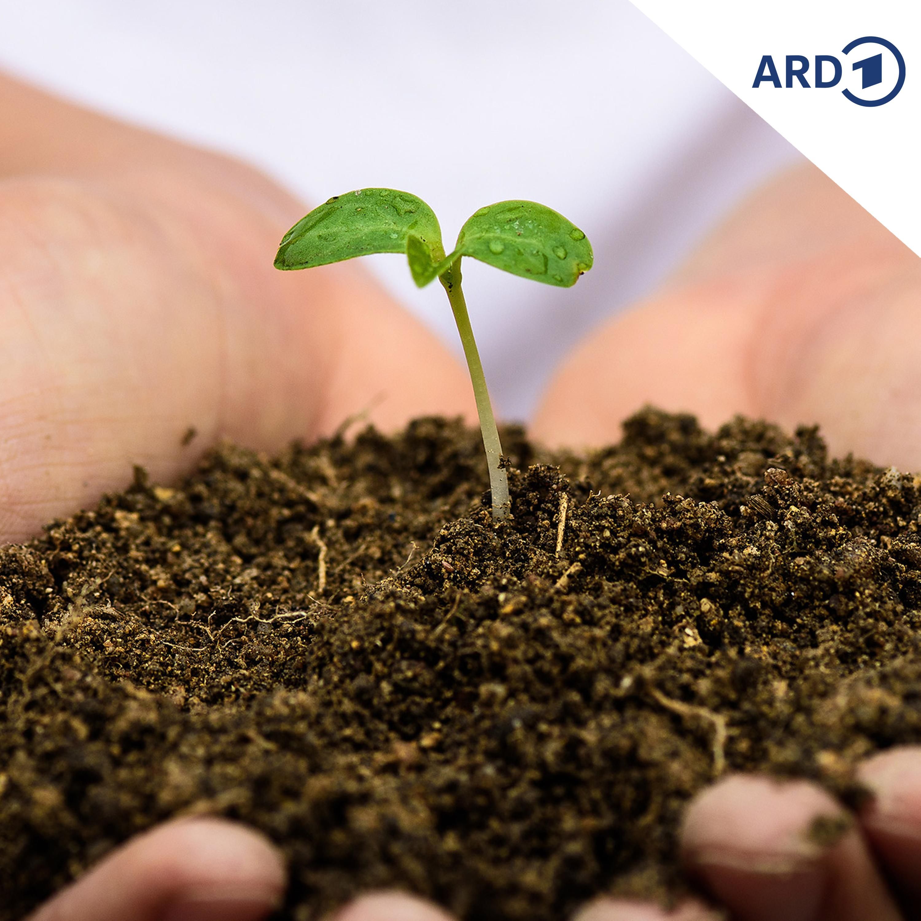 Optimusmus zum "Earth Day"!