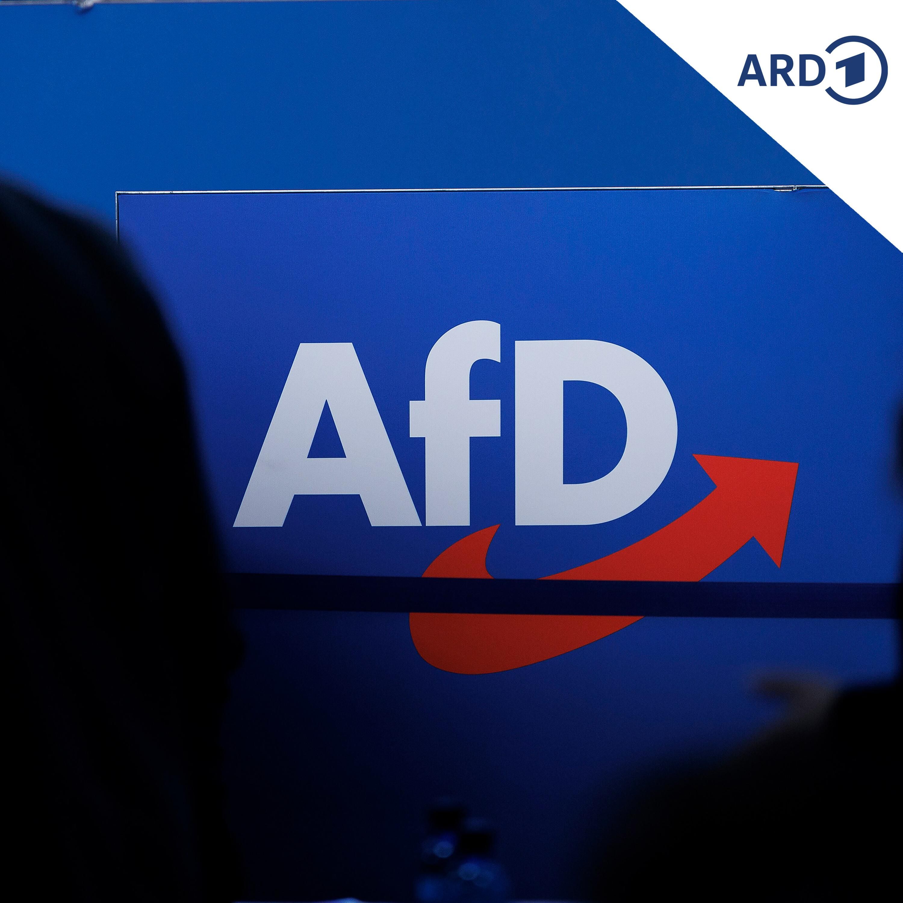 Wirtschaft unter Druck: Wie umgehen mit der AfD?