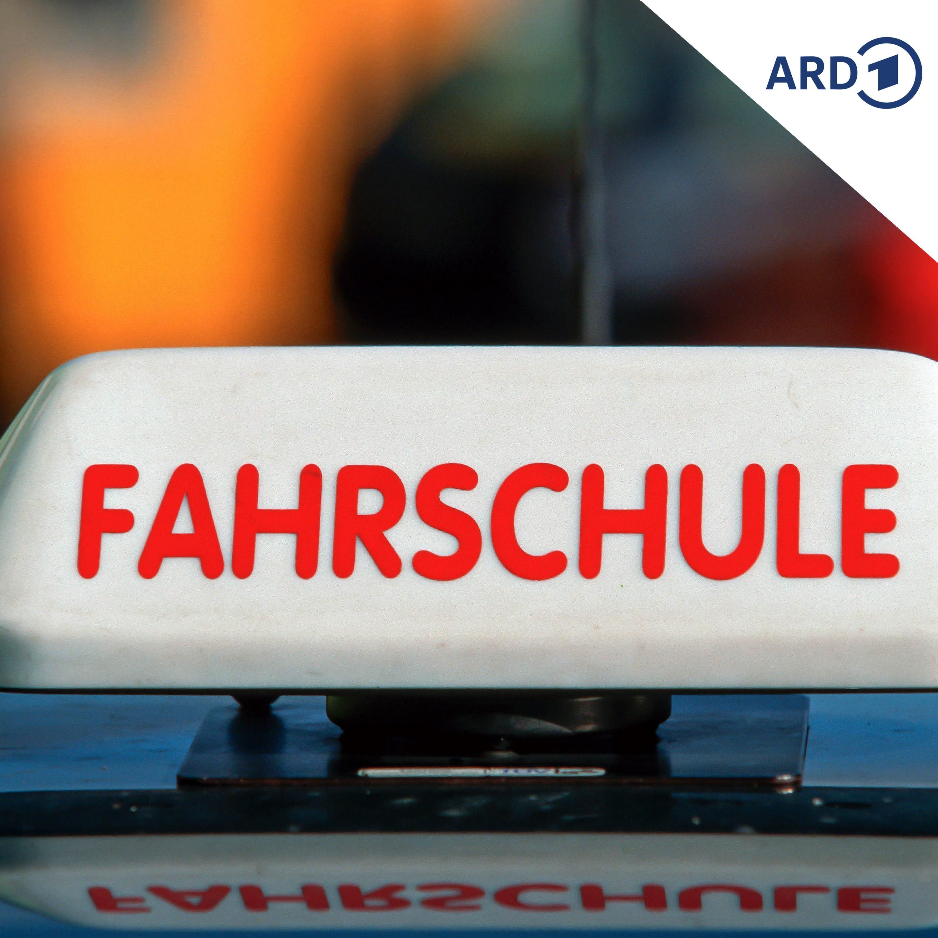 Wann kommt die Führerschein-Reform, Frau Hüskens?