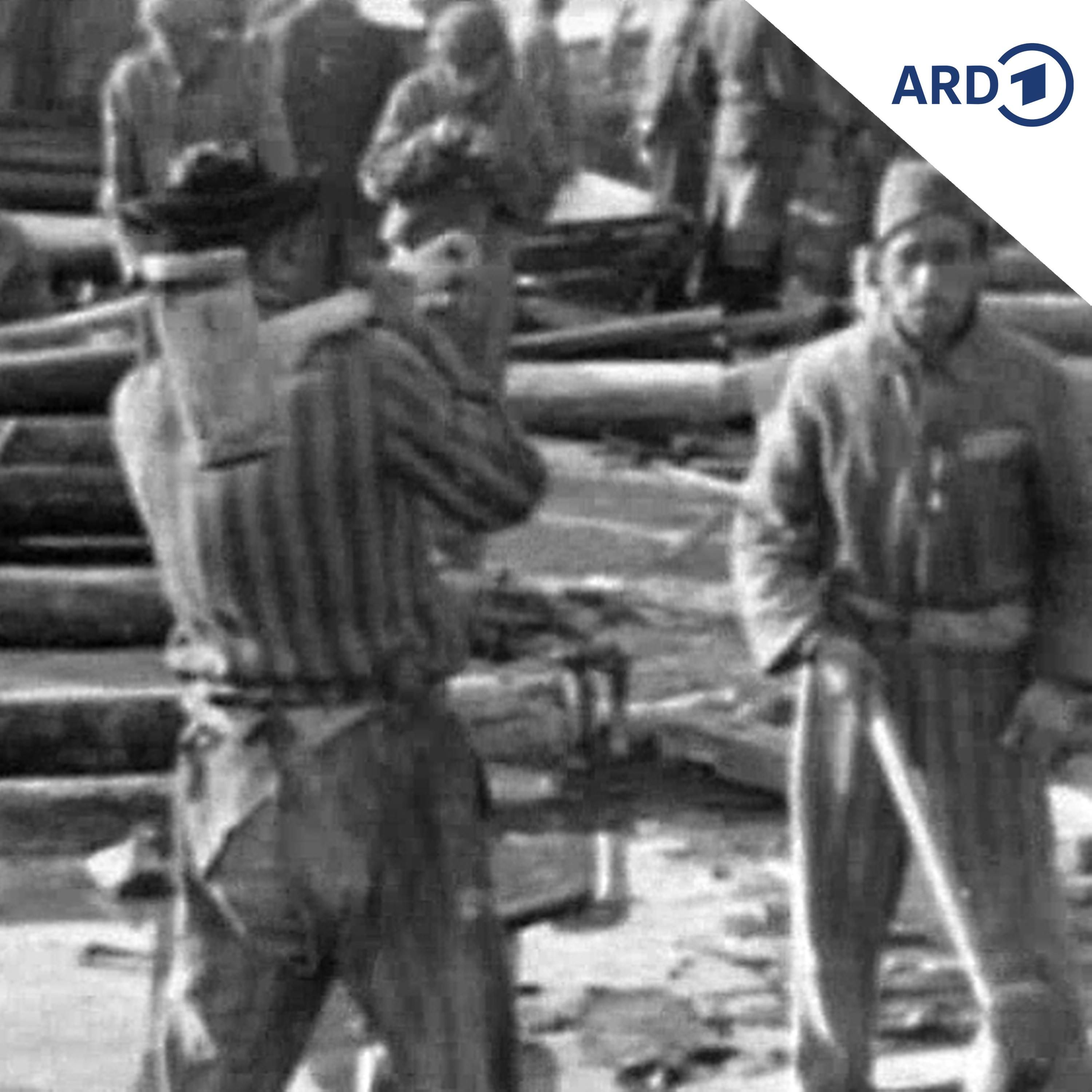 Die späte Entschädigung der NS-Zwangsarbeiter