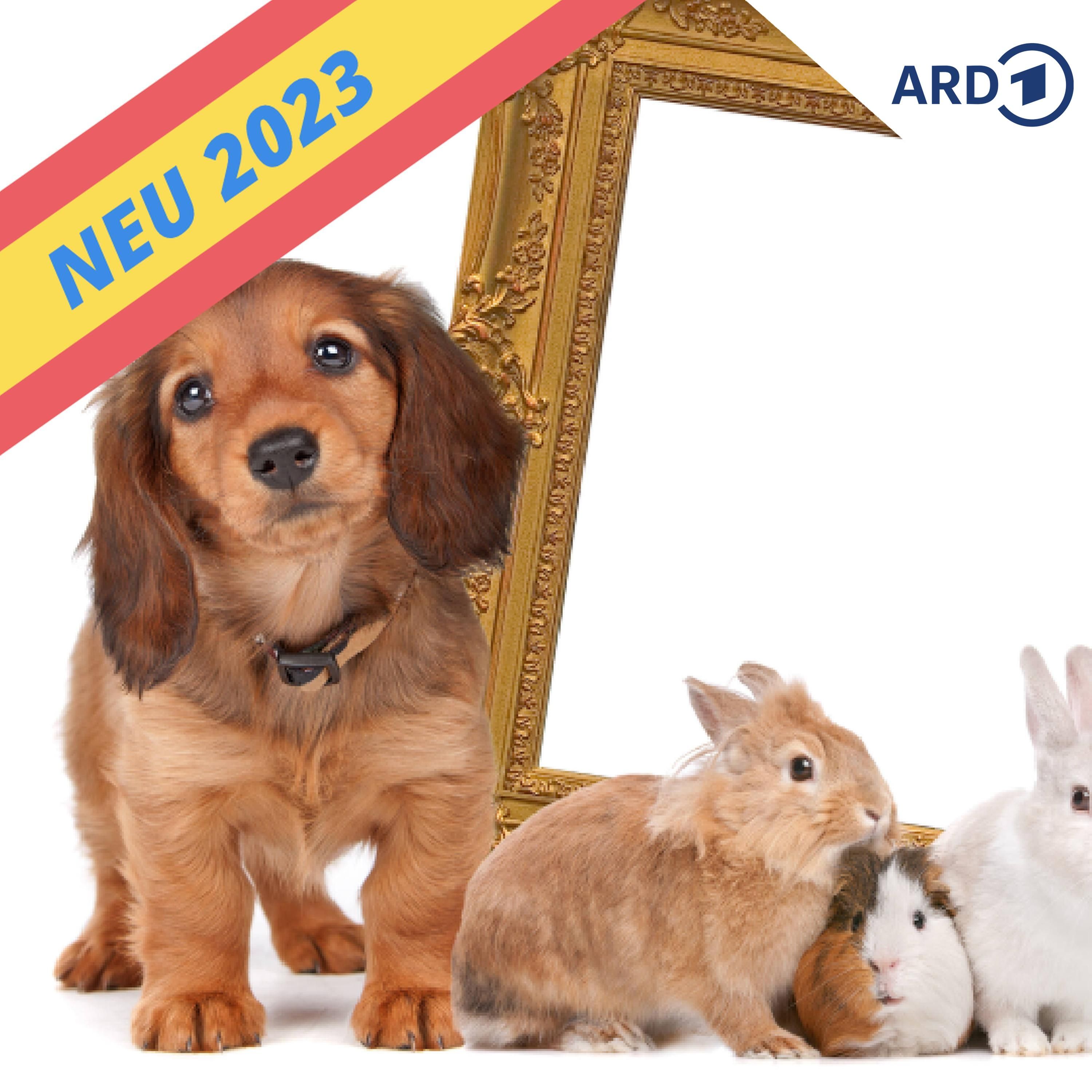 Tierische Freunde und Helfer