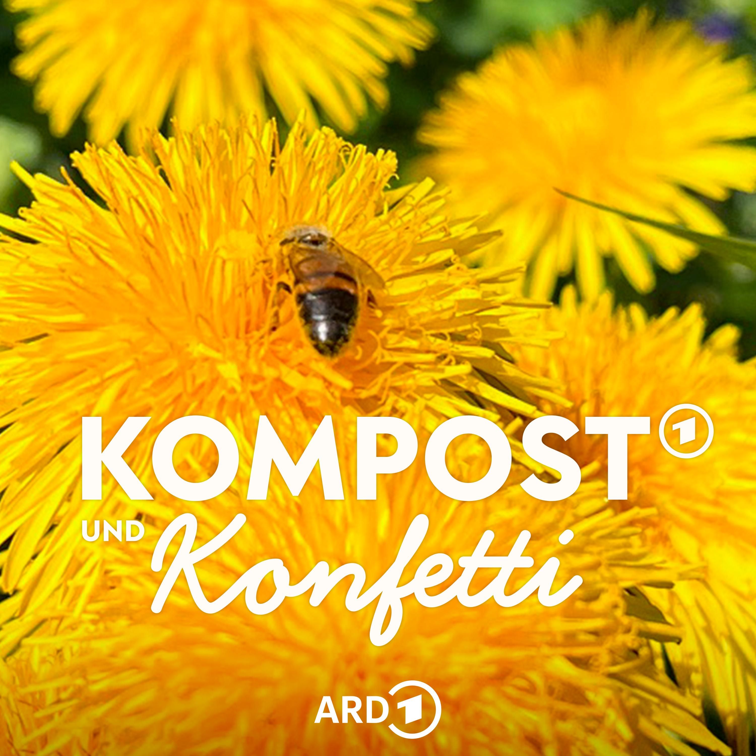 "Unkraut" oder wertvolles Superfood? Was Wildpflanzen können